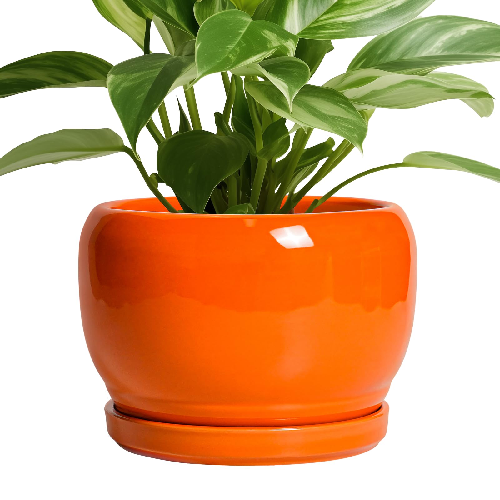 SQOWL Ceramic Planter 8 Inch - Pot for Indoor Outdoor Plants Round Ceramic Plant Pot with Drainage Hole and Saucer Modern Flower Pot Glazed Blue