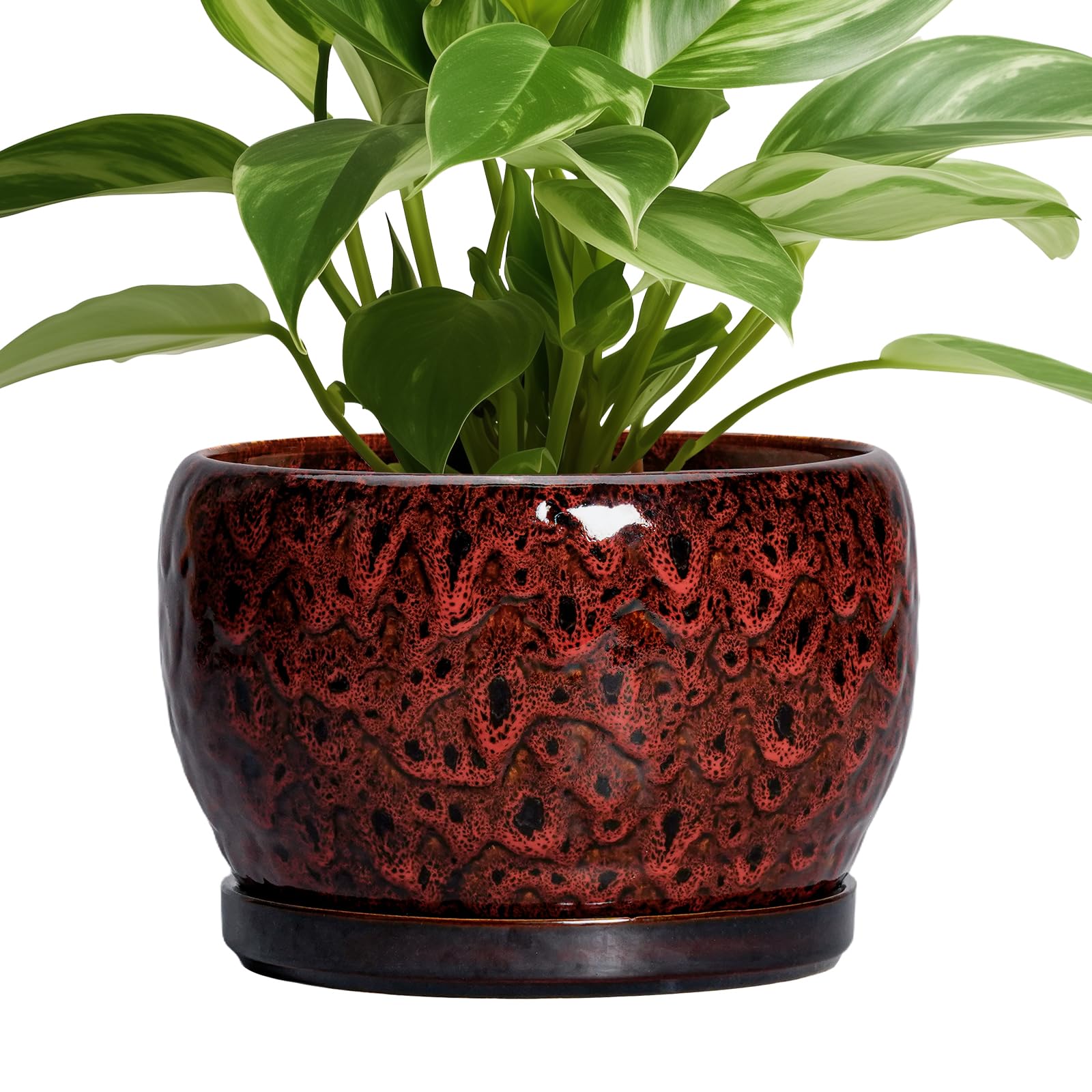 SQOWL Ceramic Planter 8 Inch - Pot for Indoor Outdoor Plants Round Ceramic Plant Pot with Drainage Hole and Saucer Modern Flower Pot Glazed Blue