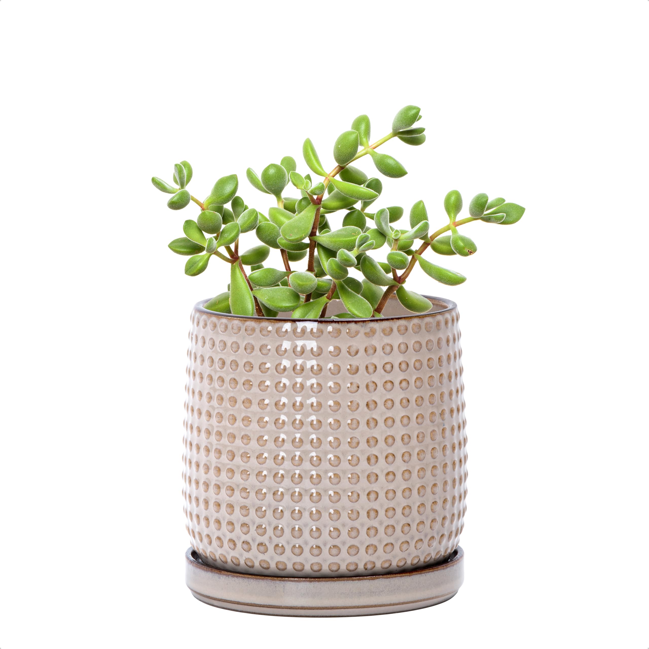 D'vine Dev 4 Inch Ceramic Beaded Stoneware Planter Pot - Flower Pot with Drainage Holes and Saucers for Indoor Succulent Plants or Flowers, Smoked White, 27-C-Z-1