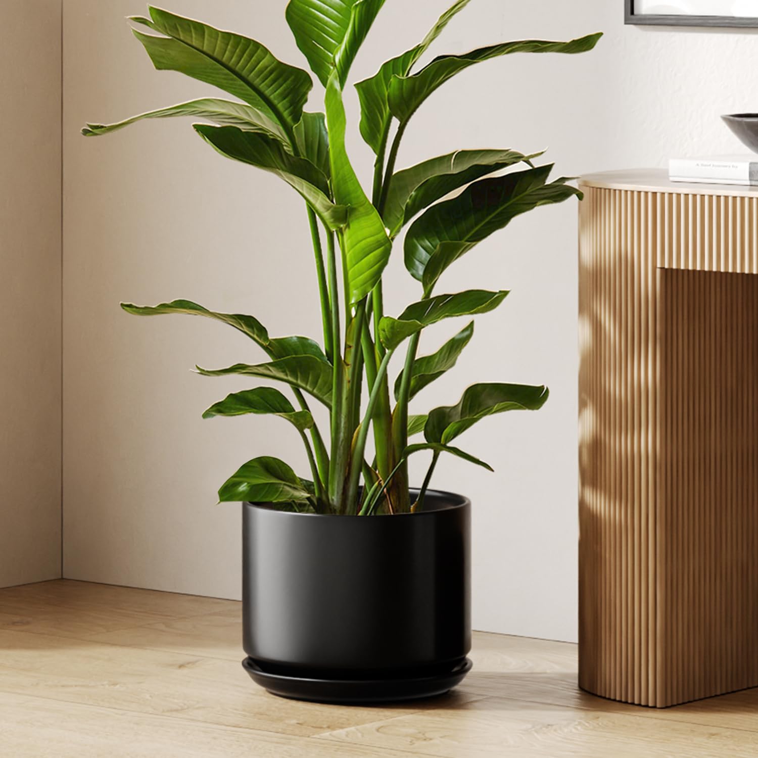 LE TAUCI 12 Inch Pots for Plants, Ceramic Plant Pots with Drainage Holes and Saucers, Elegant and Durable Large Plant Pot, Perfect for Home & Office Decor, White