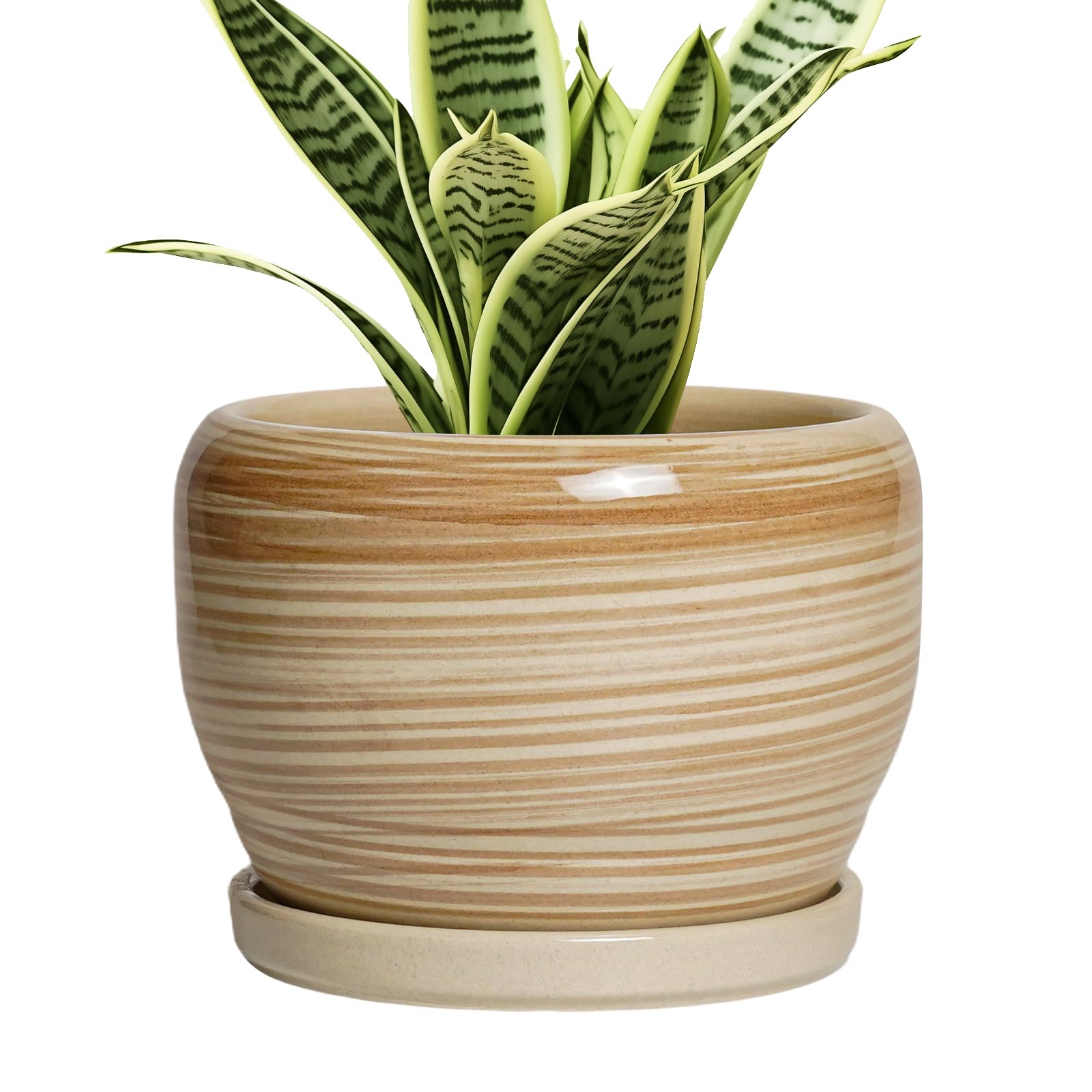 SQOWL Ceramic Planter 8 Inch - Pot for Indoor Outdoor Plants Round Ceramic Plant Pot with Drainage Hole and Saucer Modern Flower Pot Glazed Blue