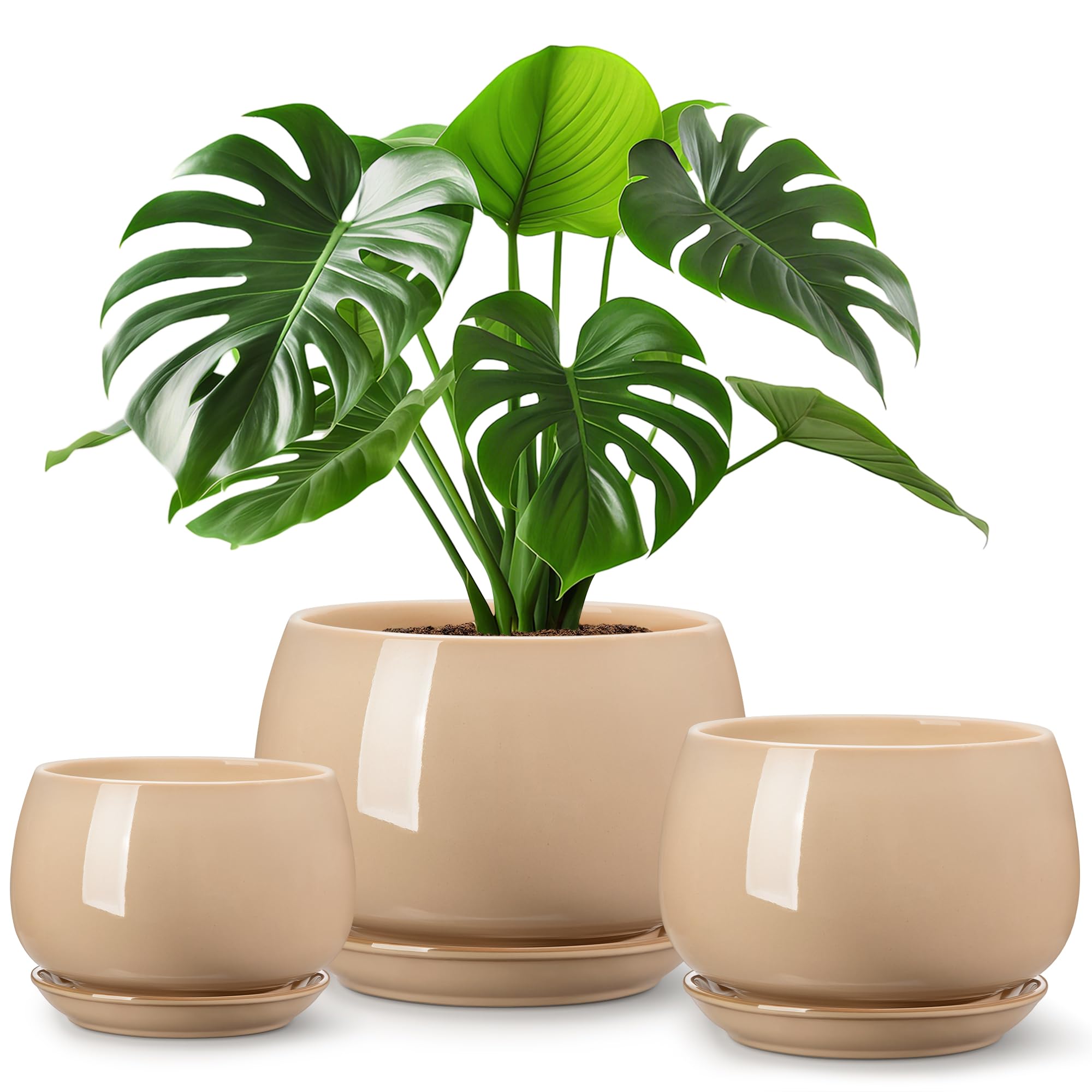 vancasso 3-Pack Ceramic Plant Pots, 3.7/4.8/6.2 Inch Indoor Planters with Saucers & Drainage Hole Planter pots for Indoor Plants and Flower, White