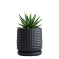 D'vine Dev 4 Inch Ceramic Beaded Stoneware Planter Pot - Flower Pot with Drainage Holes and Saucers for Indoor Succulent Plants or Flowers, Smoked White, 27-C-Z-1