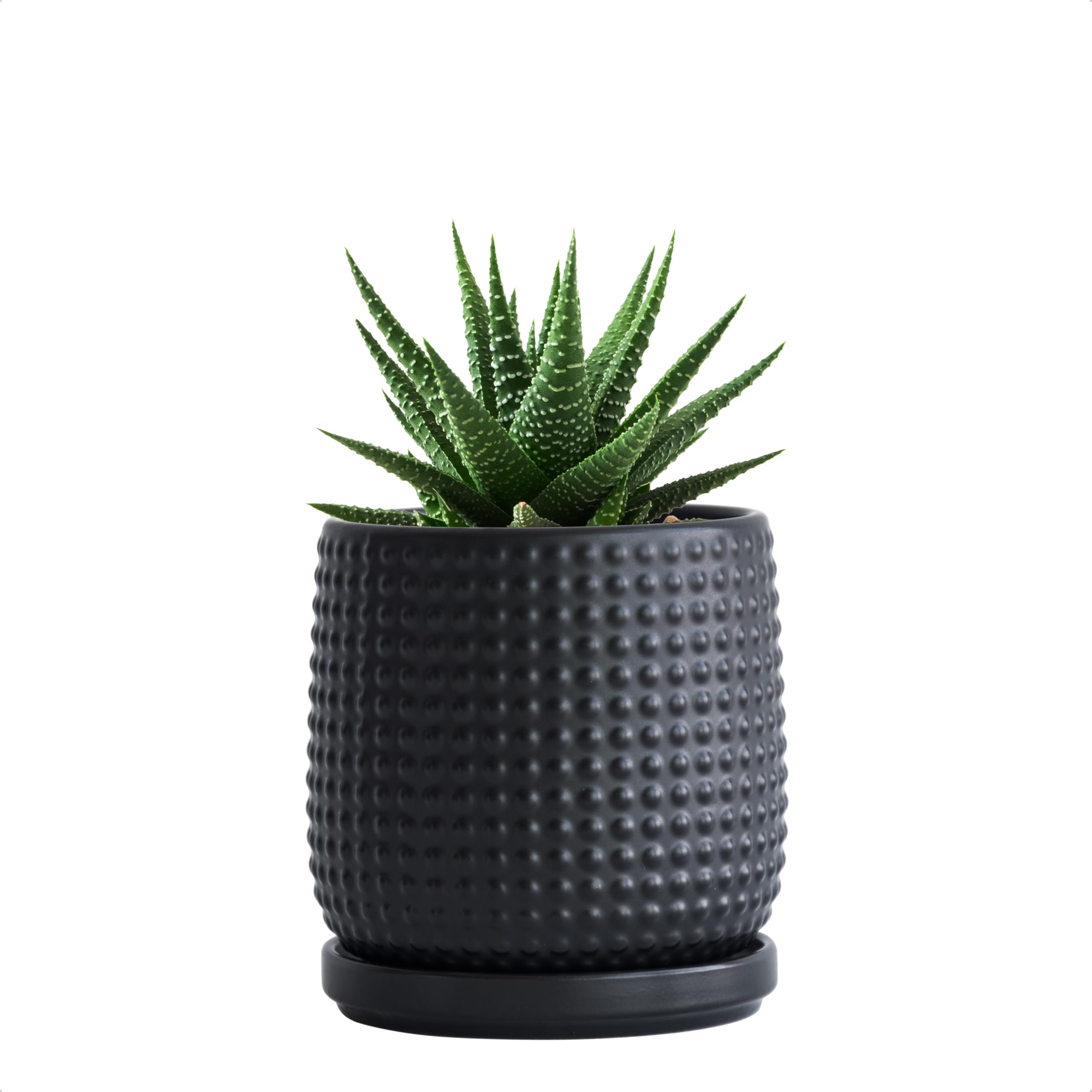 D'vine Dev 4 Inch Ceramic Beaded Stoneware Planter Pot - Flower Pot with Drainage Holes and Saucers for Indoor Succulent Plants or Flowers, Smoked White, 27-C-Z-1