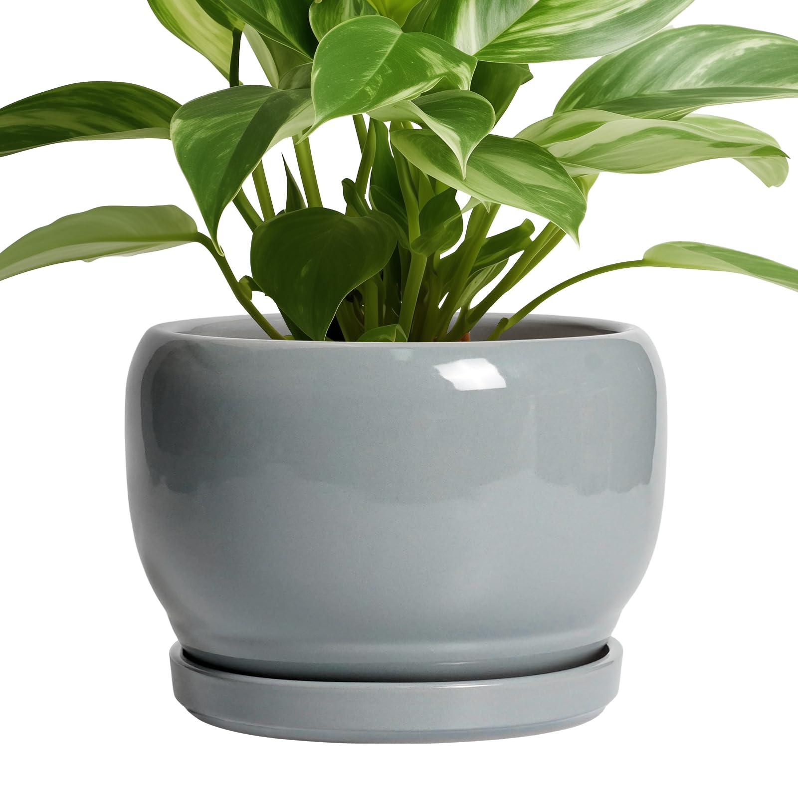SQOWL Ceramic Planter 8 Inch - Pot for Indoor Outdoor Plants Round Ceramic Plant Pot with Drainage Hole and Saucer Modern Flower Pot Glazed Blue