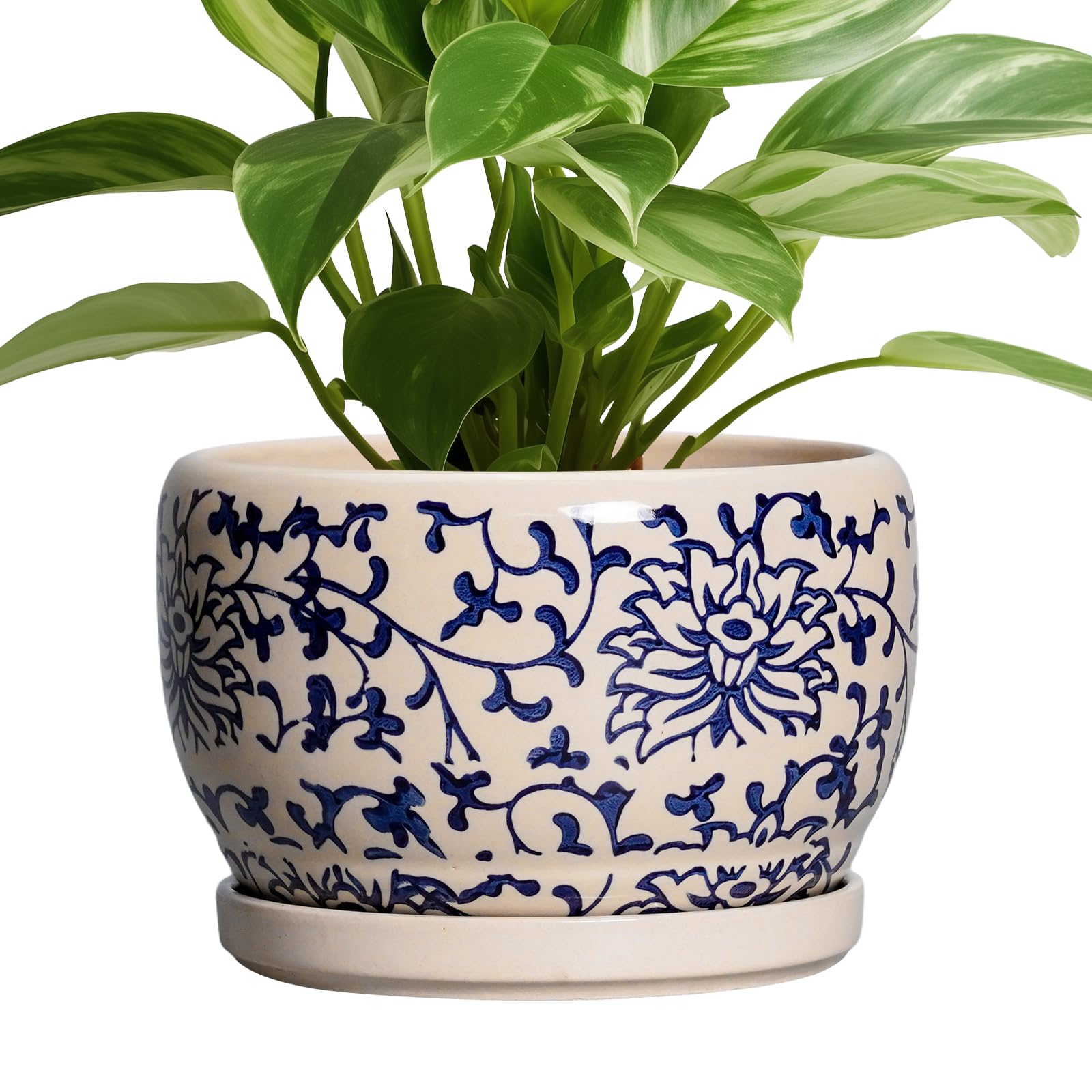 SQOWL Ceramic Planter 8 Inch - Pot for Indoor Outdoor Plants Round Ceramic Plant Pot with Drainage Hole and Saucer Modern Flower Pot Glazed Blue
