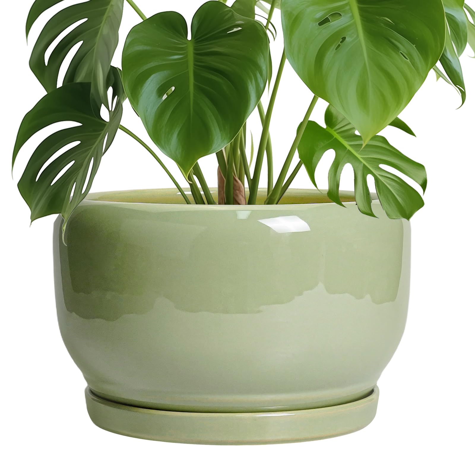 SQOWL Ceramic Planter 8 Inch - Pot for Indoor Outdoor Plants Round Ceramic Plant Pot with Drainage Hole and Saucer Modern Flower Pot Glazed Blue