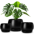 vancasso 3-Pack Ceramic Plant Pots, 3.7/4.8/6.2 Inch Indoor Planters with Saucers & Drainage Hole Planter pots for Indoor Plants and Flower, White