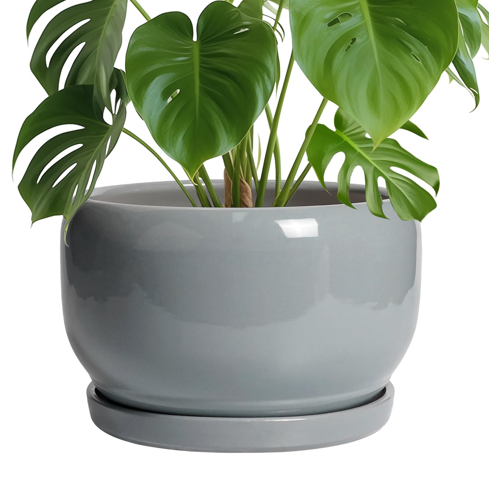 SQOWL Ceramic Planter 8 Inch - Pot for Indoor Outdoor Plants Round Ceramic Plant Pot with Drainage Hole and Saucer Modern Flower Pot Glazed Blue