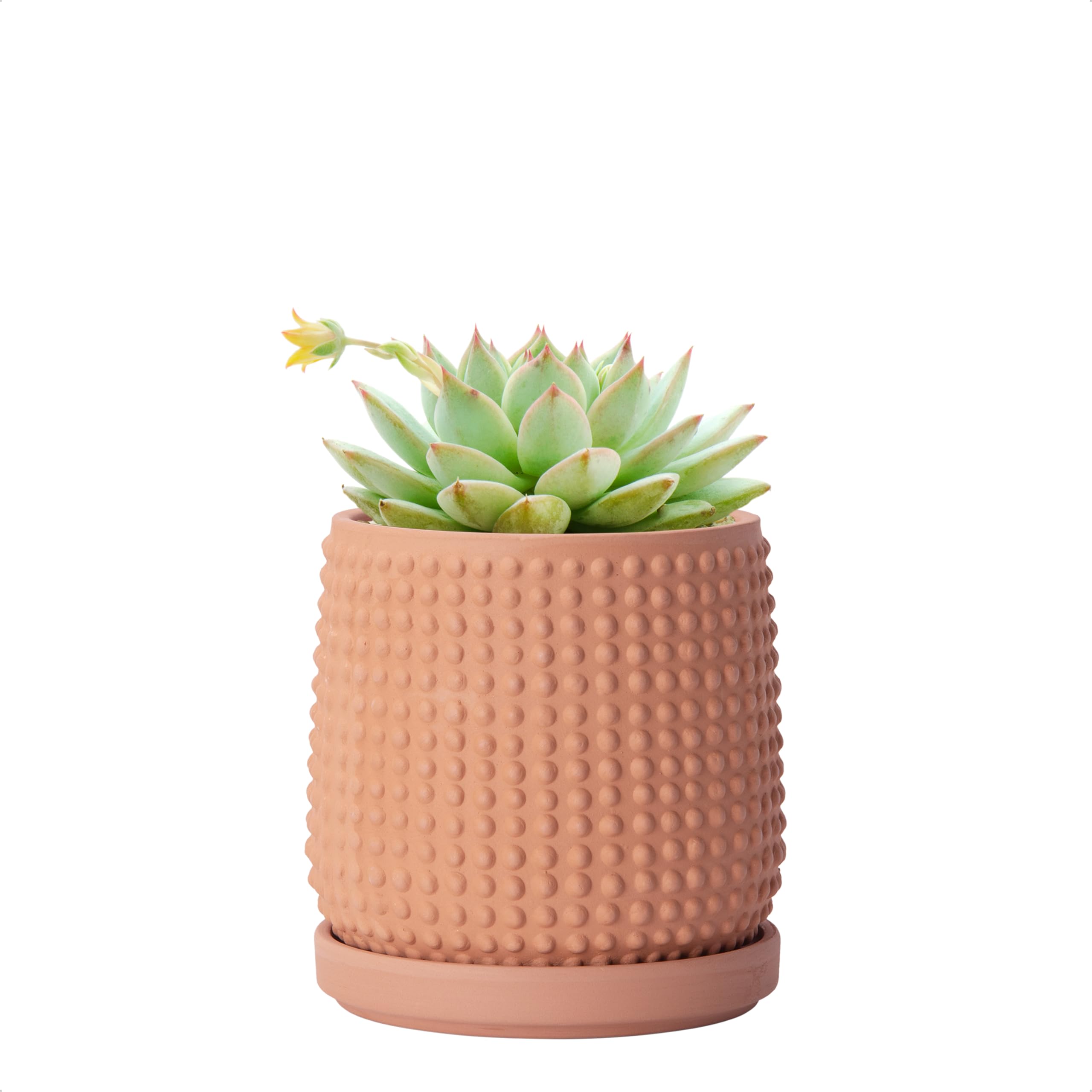 D'vine Dev 4 Inch Ceramic Beaded Stoneware Planter Pot - Flower Pot with Drainage Holes and Saucers for Indoor Succulent Plants or Flowers, Smoked White, 27-C-Z-1