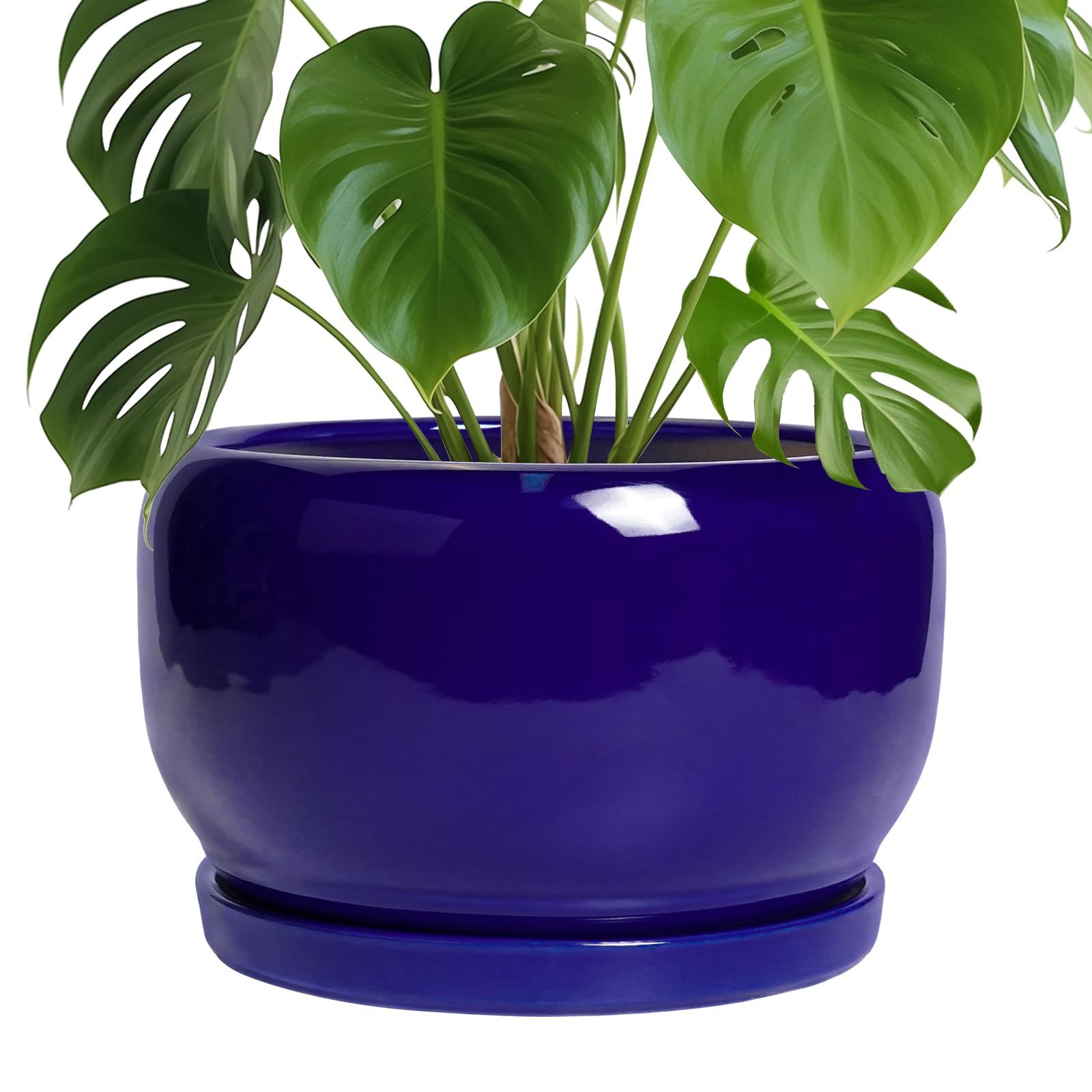 SQOWL Ceramic Planter 8 Inch - Pot for Indoor Outdoor Plants Round Ceramic Plant Pot with Drainage Hole and Saucer Modern Flower Pot Glazed Blue