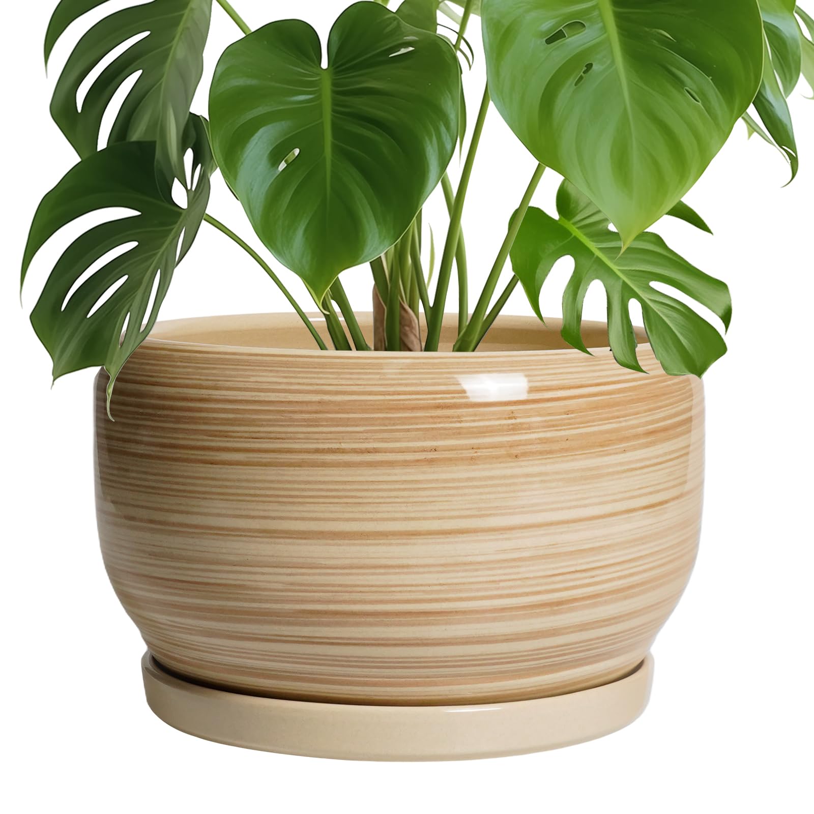 SQOWL Ceramic Planter 8 Inch - Pot for Indoor Outdoor Plants Round Ceramic Plant Pot with Drainage Hole and Saucer Modern Flower Pot Glazed Blue