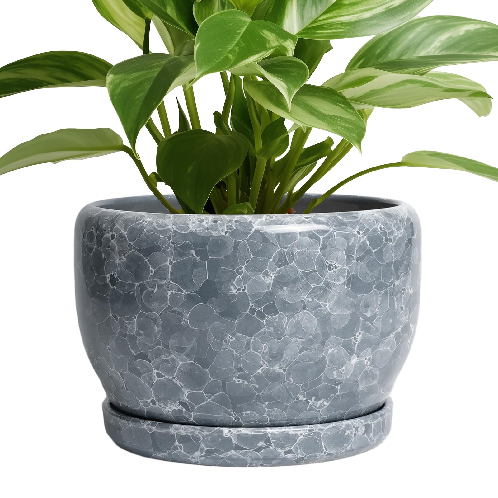 SQOWL Ceramic Planter 8 Inch - Pot for Indoor Outdoor Plants Round Ceramic Plant Pot with Drainage Hole and Saucer Modern Flower Pot Glazed Blue