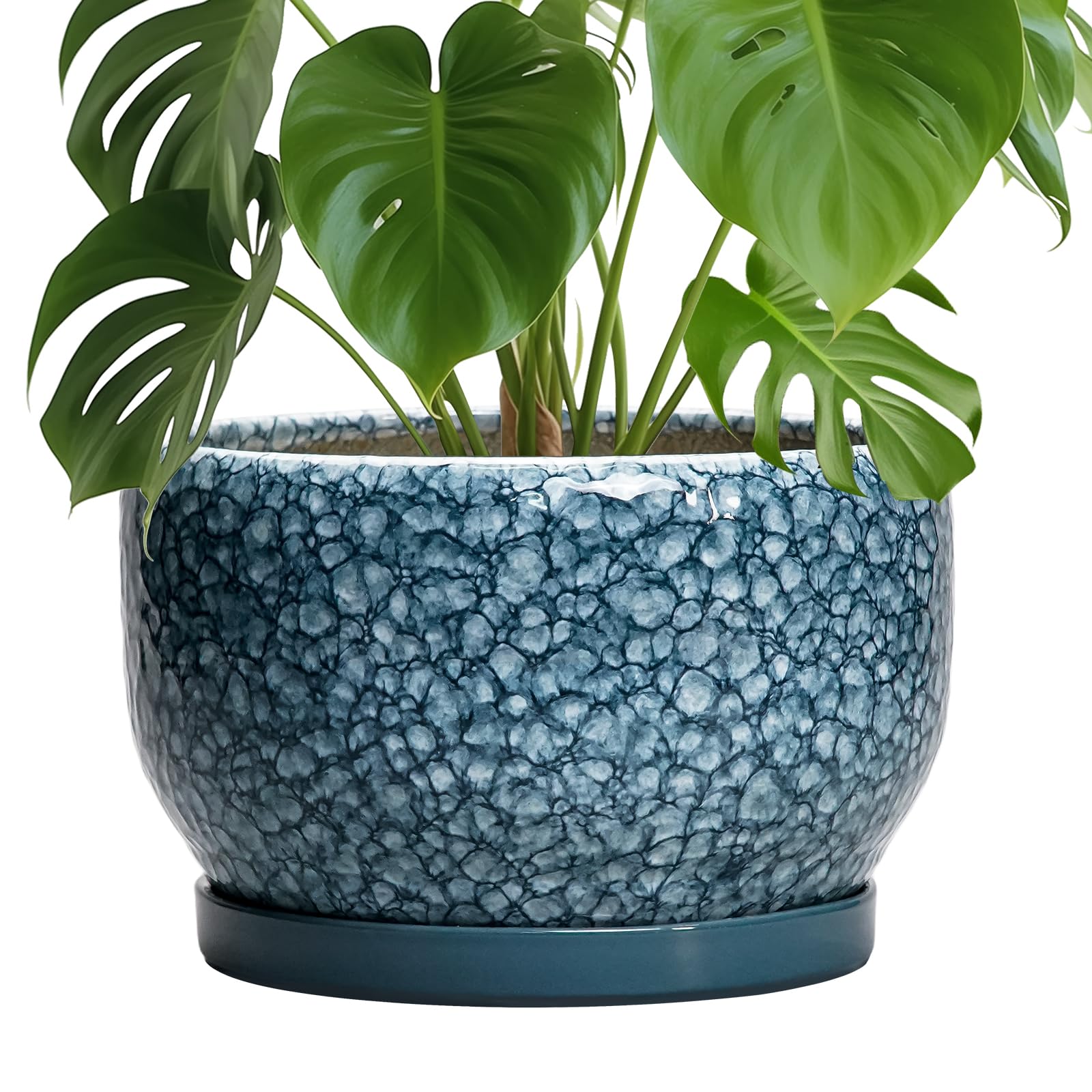 SQOWL Ceramic Planter 8 Inch - Pot for Indoor Outdoor Plants Round Ceramic Plant Pot with Drainage Hole and Saucer Modern Flower Pot Glazed Blue