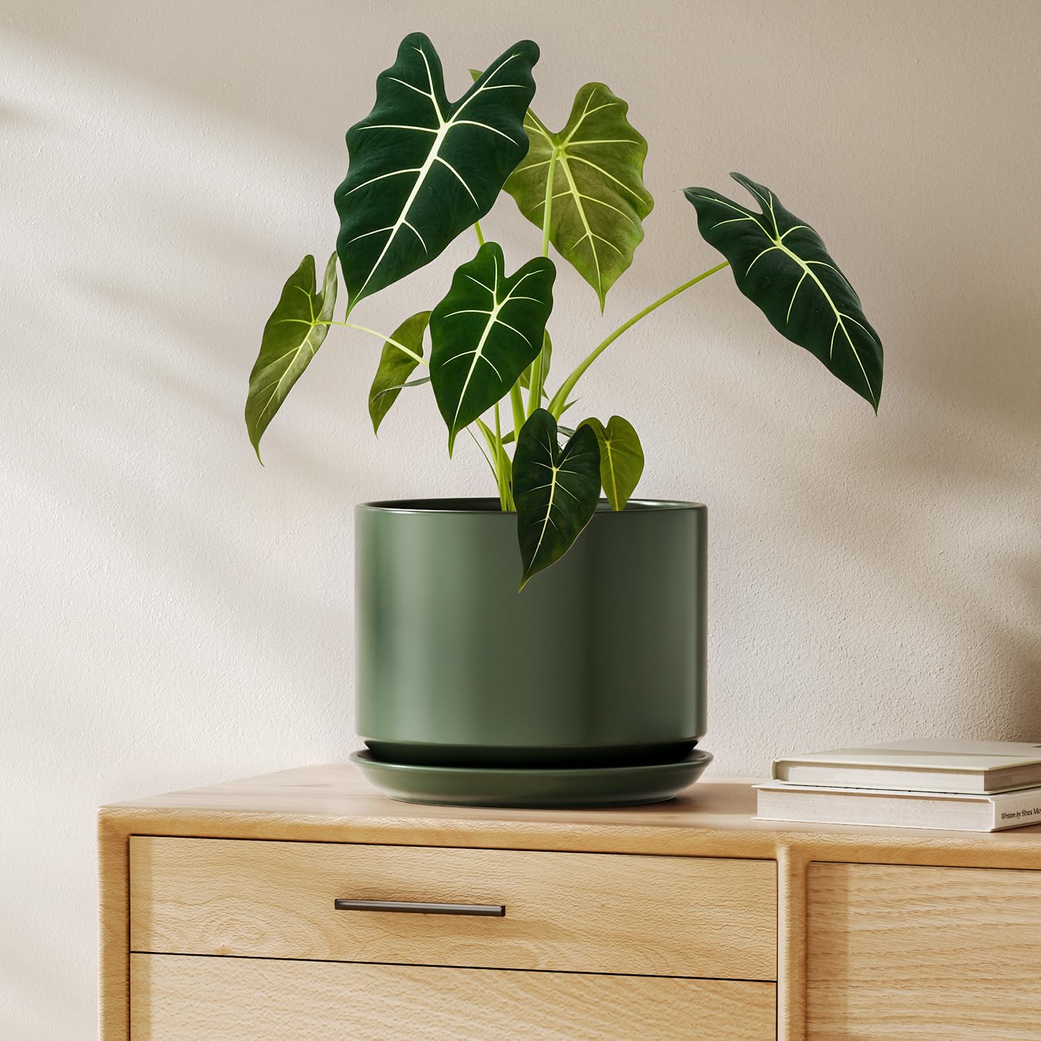 LE TAUCI 12 Inch Pots for Plants, Ceramic Plant Pots with Drainage Holes and Saucers, Elegant and Durable Large Plant Pot, Perfect for Home & Office Decor, White