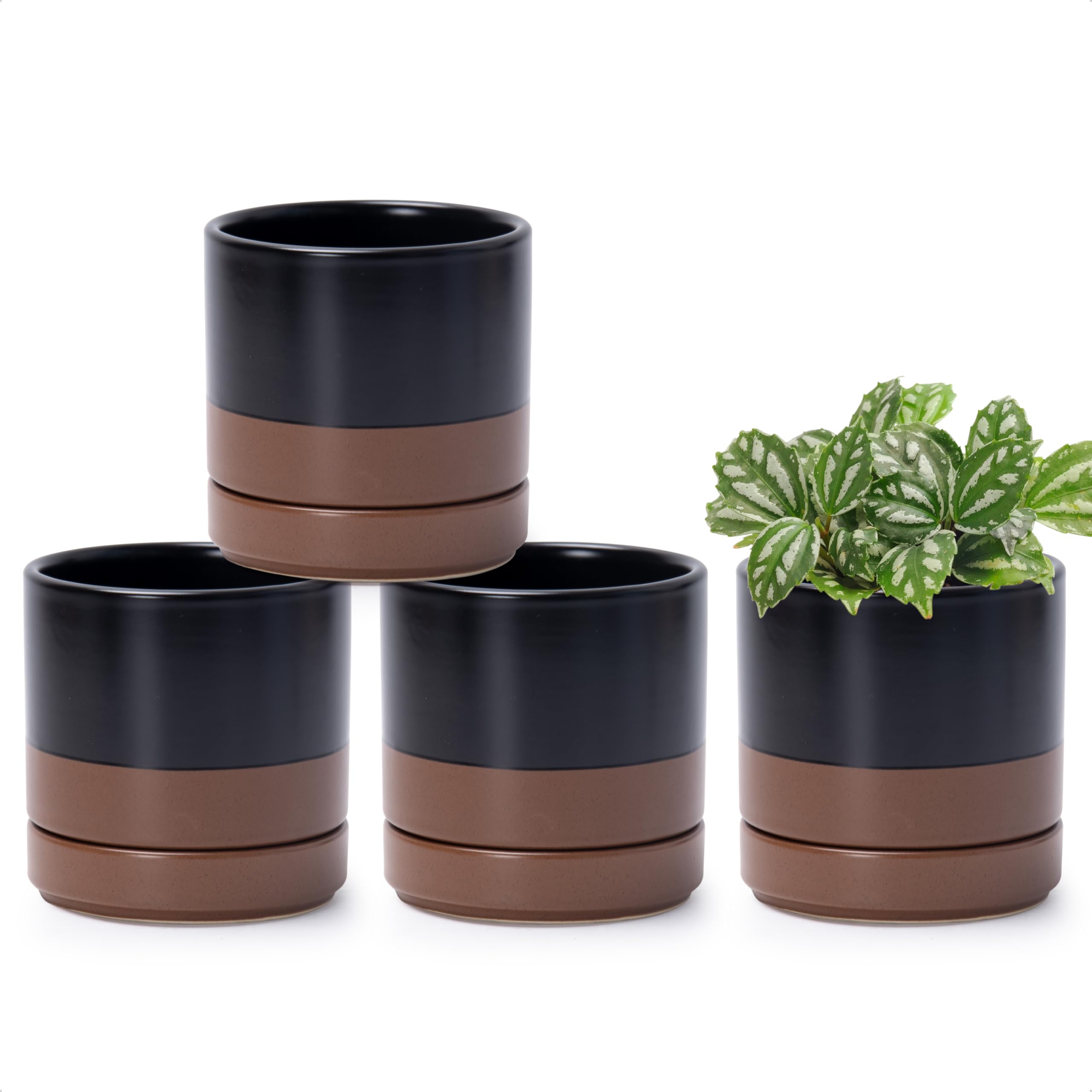 D'vine Dev Set of 4 Small Ceramic Plant Pots, 4.7 Inch Succulent Planter Pot for Plants with Drainage Hole and Saucer, White, 94-X-B-1