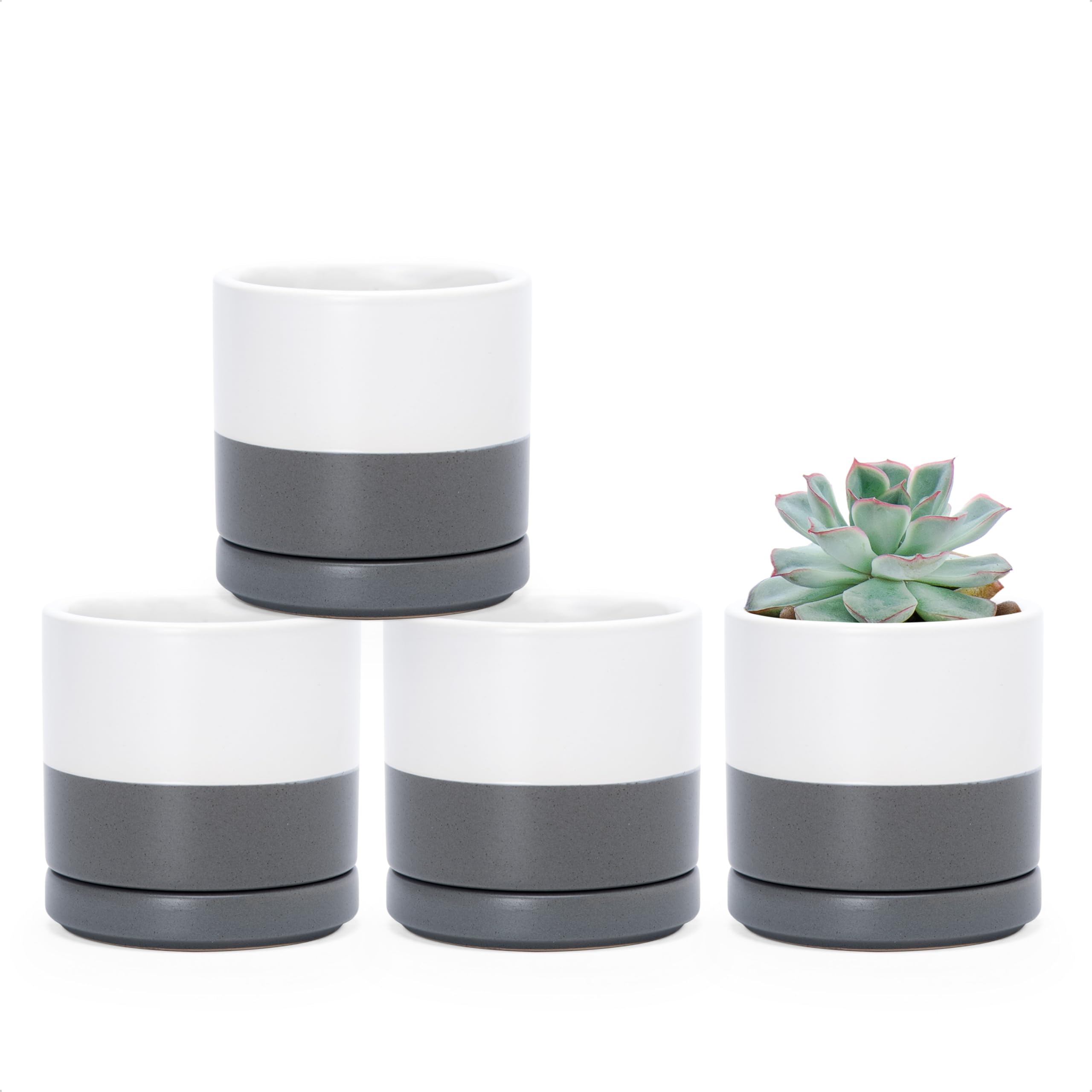 D'vine Dev Set of 4 Small Ceramic Plant Pots, 4.7 Inch Succulent Planter Pot for Plants with Drainage Hole and Saucer, White, 94-X-B-1