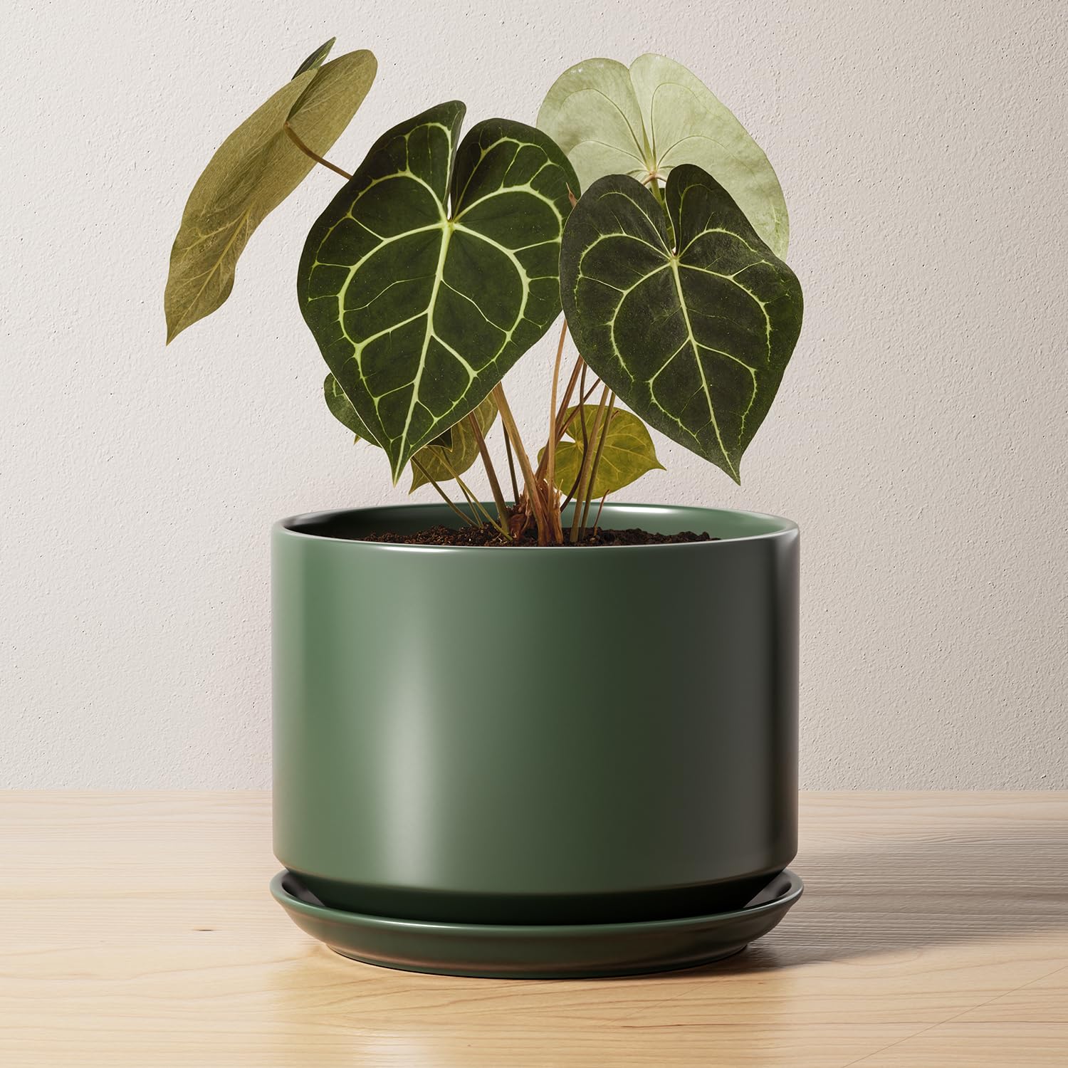 LE TAUCI 12 Inch Pots for Plants, Ceramic Plant Pots with Drainage Holes and Saucers, Elegant and Durable Large Plant Pot, Perfect for Home & Office Decor, White
