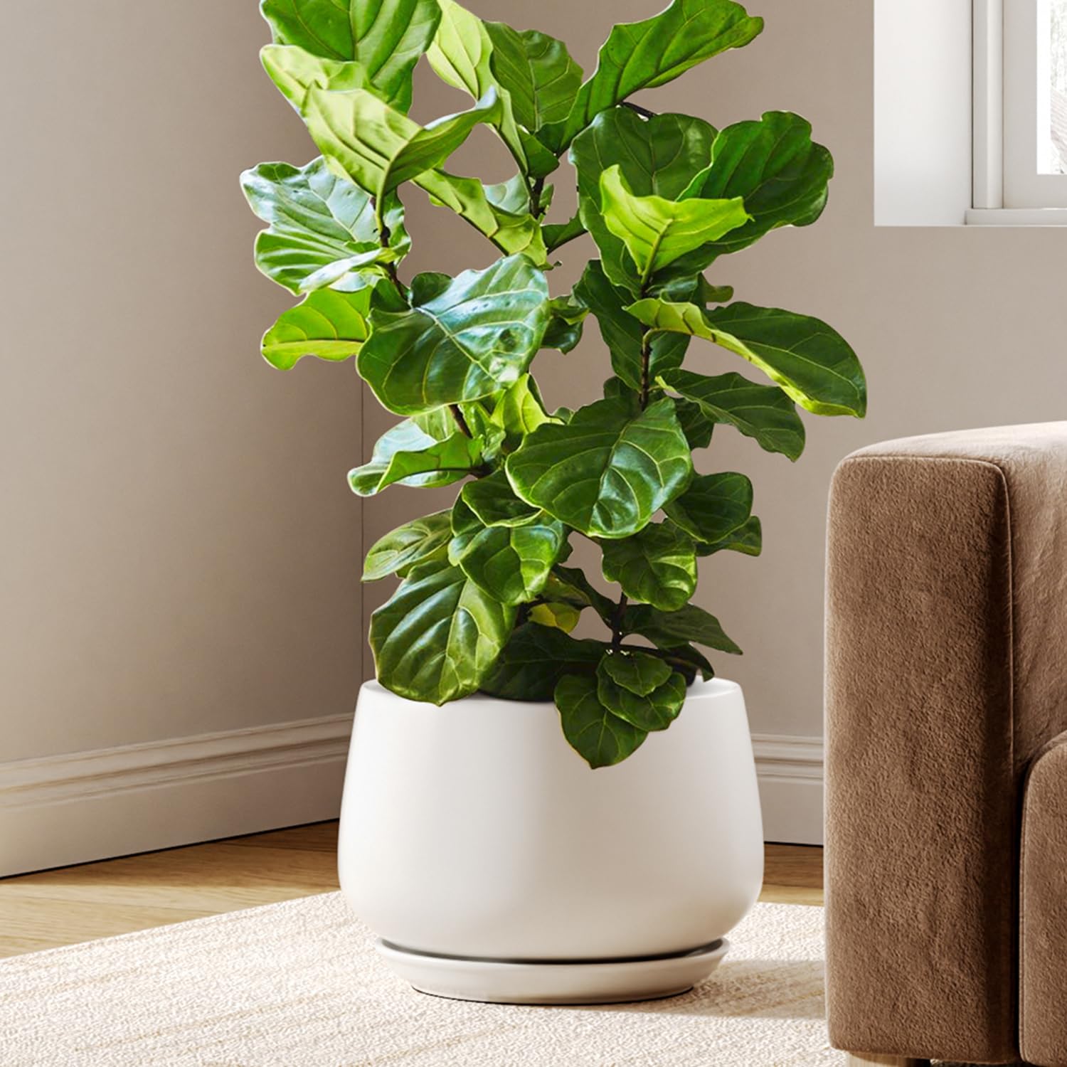 LE TAUCI Ceramic Planter, 10 Inch Plant Pot with Drainage Hole & Saucer – Durable Indoor Planter for Modern Home Decor, Reactive Glaze Beige