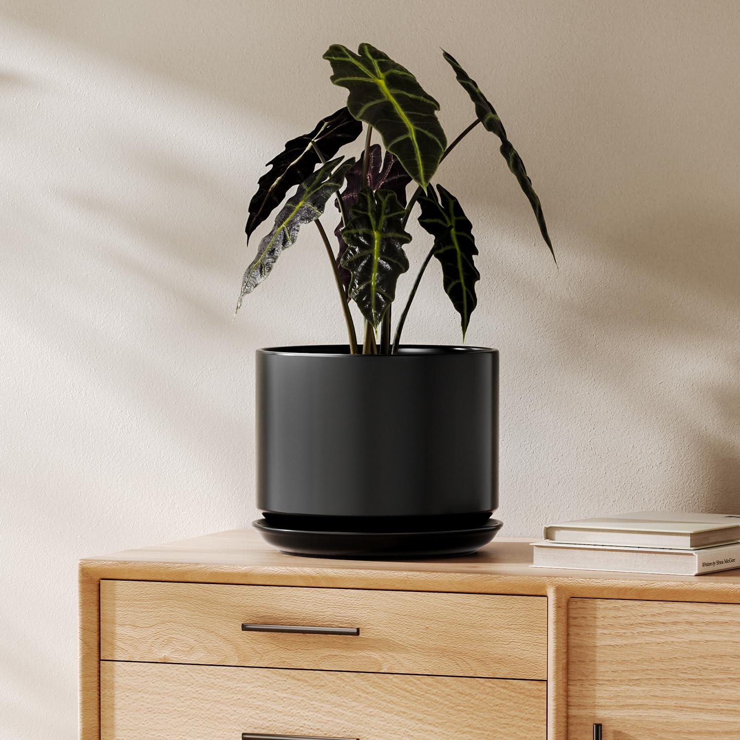 LE TAUCI 12 Inch Pots for Plants, Ceramic Plant Pots with Drainage Holes and Saucers, Elegant and Durable Large Plant Pot, Perfect for Home & Office Decor, White