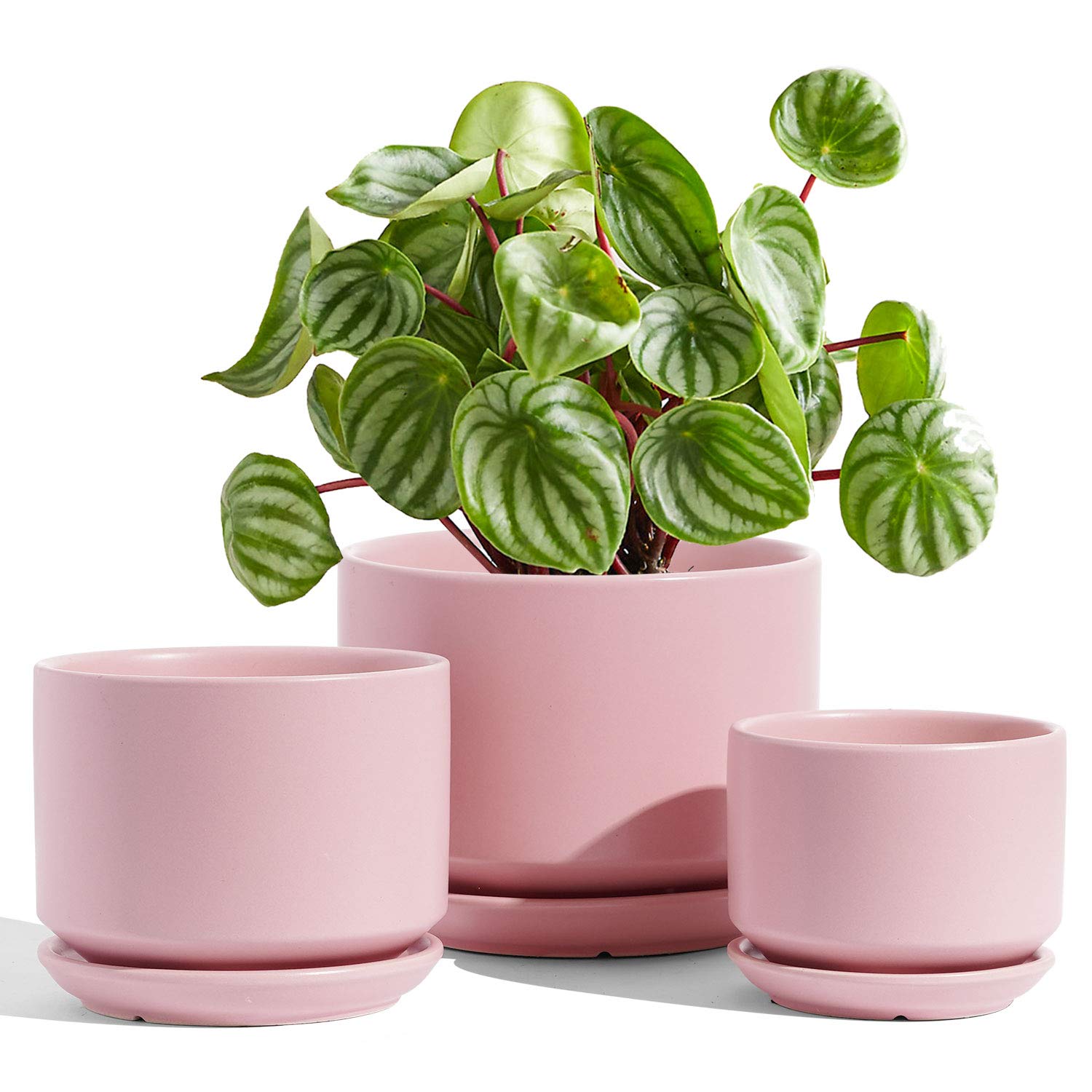 LE TAUCI Ceramic Plant Pots, 4.3+5.3+6.8 inch, Set of 3, Planters with Drainage Hole and Saucer, Indoor Flower Pot with Hole Mesh Pad, Gifts for Mom, Reactive Glaze Beige