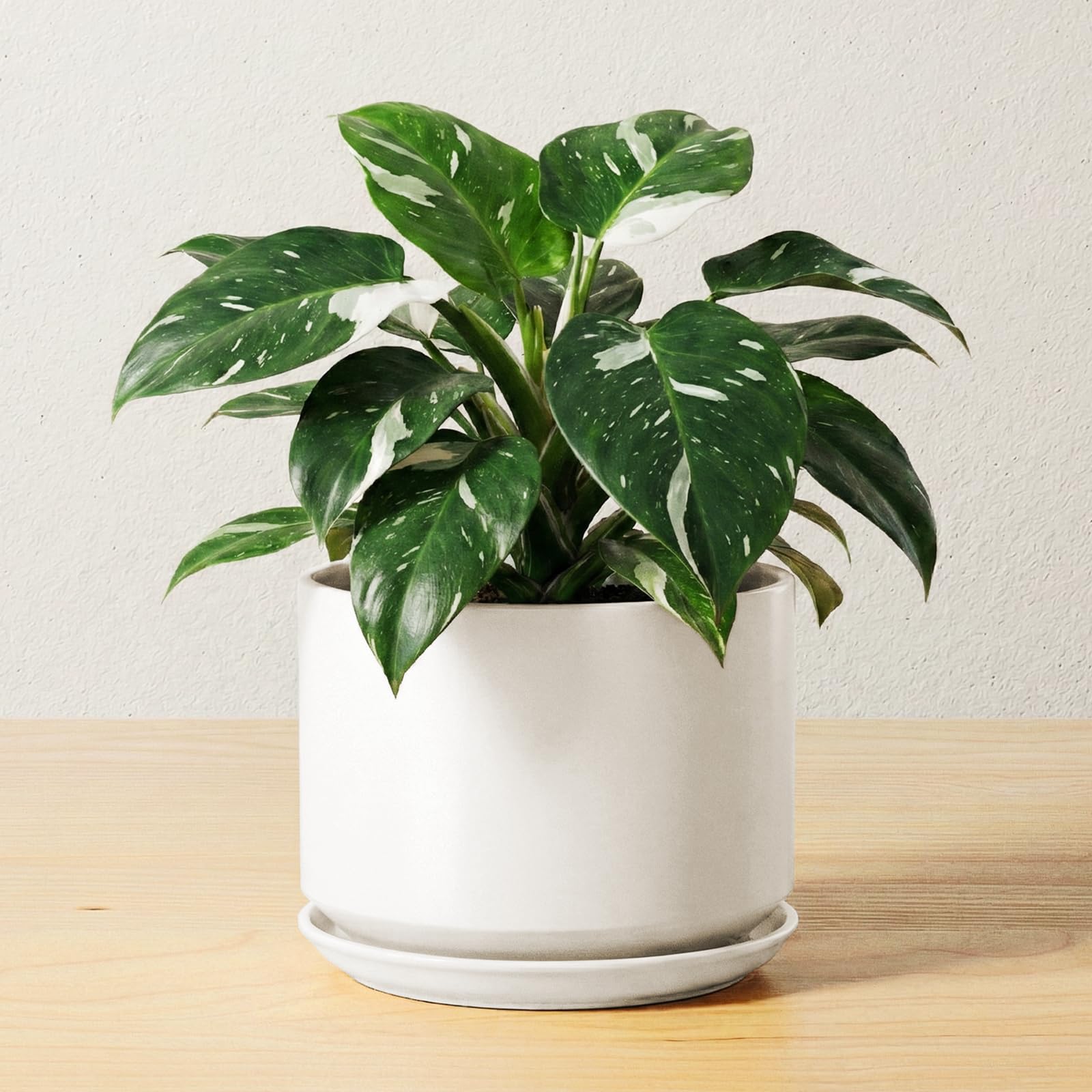 LE TAUCI 12 Inch Pots for Plants, Ceramic Plant Pots with Drainage Holes and Saucers, Elegant and Durable Large Plant Pot, Perfect for Home & Office Decor, White