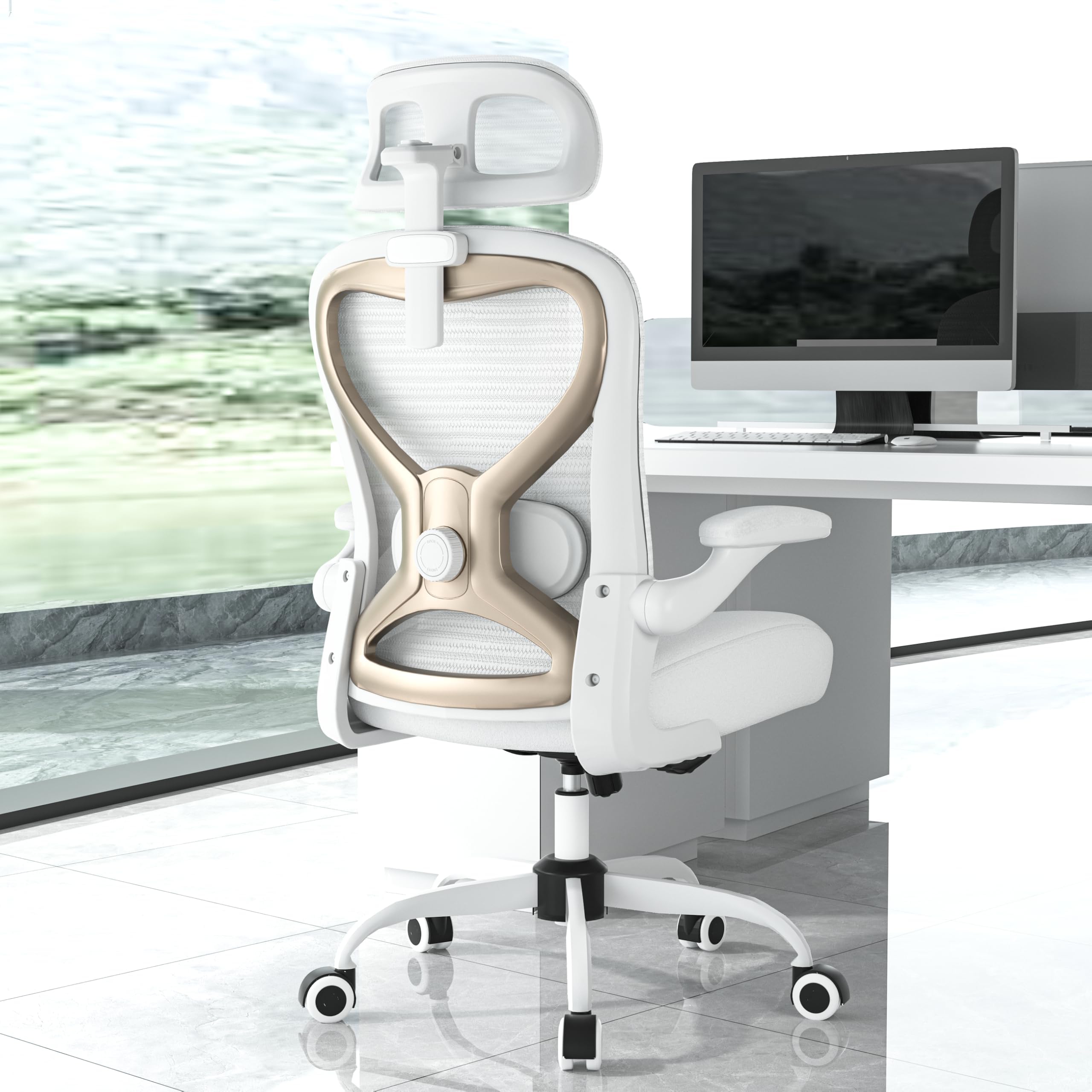 Ergonomic Office Chair for Back & Neck Pain Relief, Virgin Foam Seat, 2D Adjustable Lumbar & 3D Headrest, Tilt & Rock for Relaxation, Ideal for Long Sitting Comfort, Gray/Silver