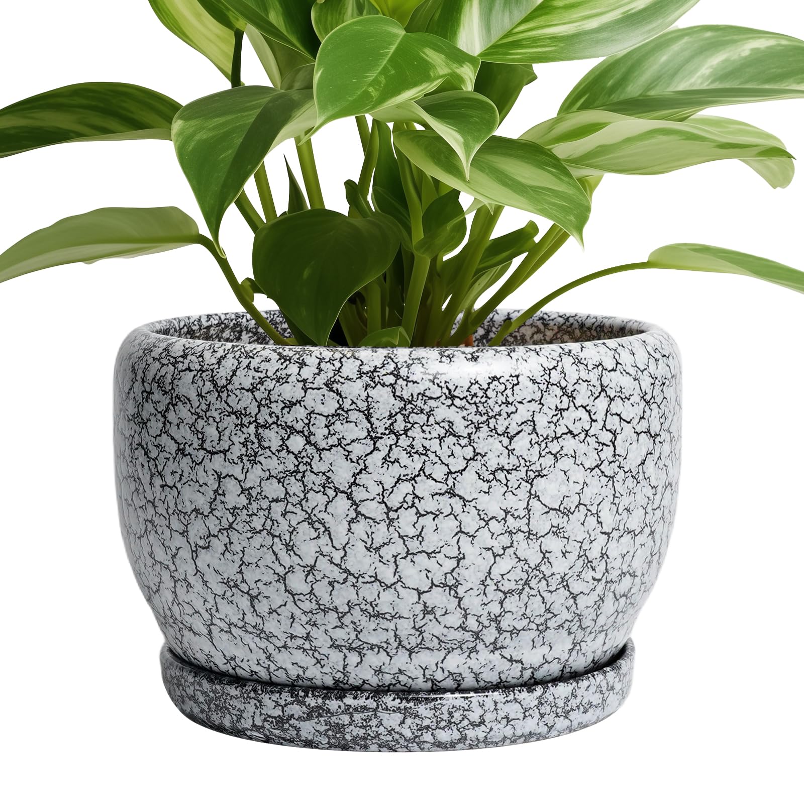 SQOWL Ceramic Planter 8 Inch - Pot for Indoor Outdoor Plants Round Ceramic Plant Pot with Drainage Hole and Saucer Modern Flower Pot Glazed Blue