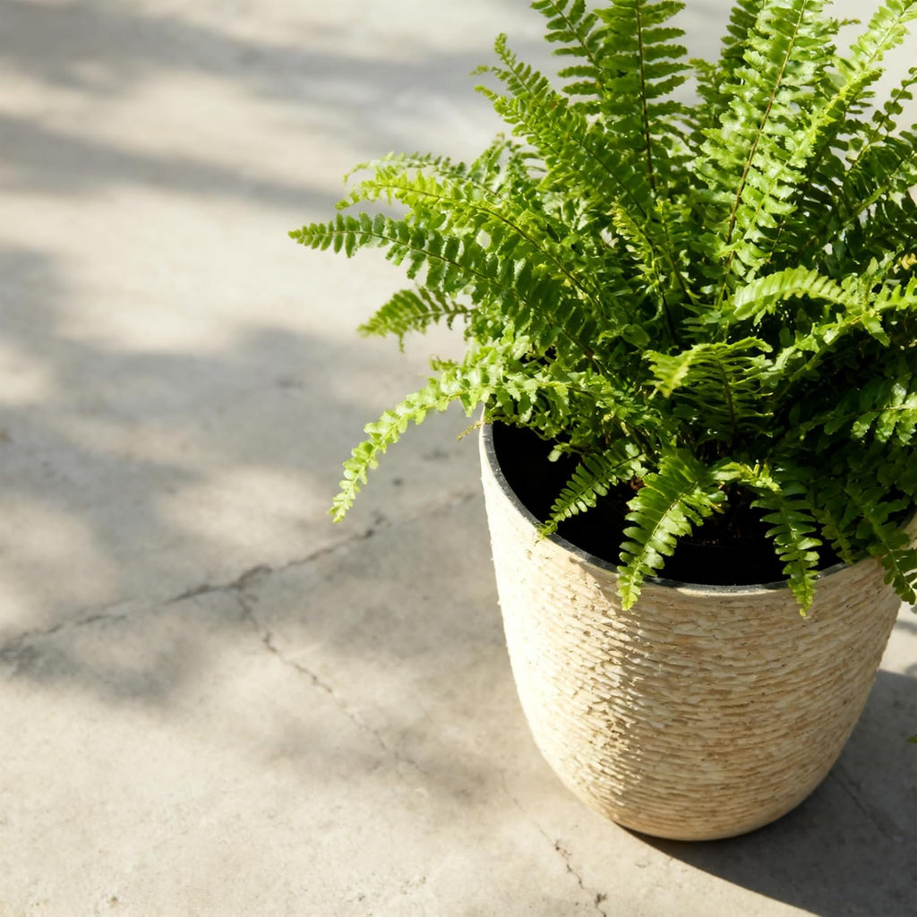 Worth 9 Gallon Tall Round Planters Set of 2-14" Dia x 21" H Stone Finish Flower Pots Indoor Decorative Container Garden Patio Unbreakable Beige