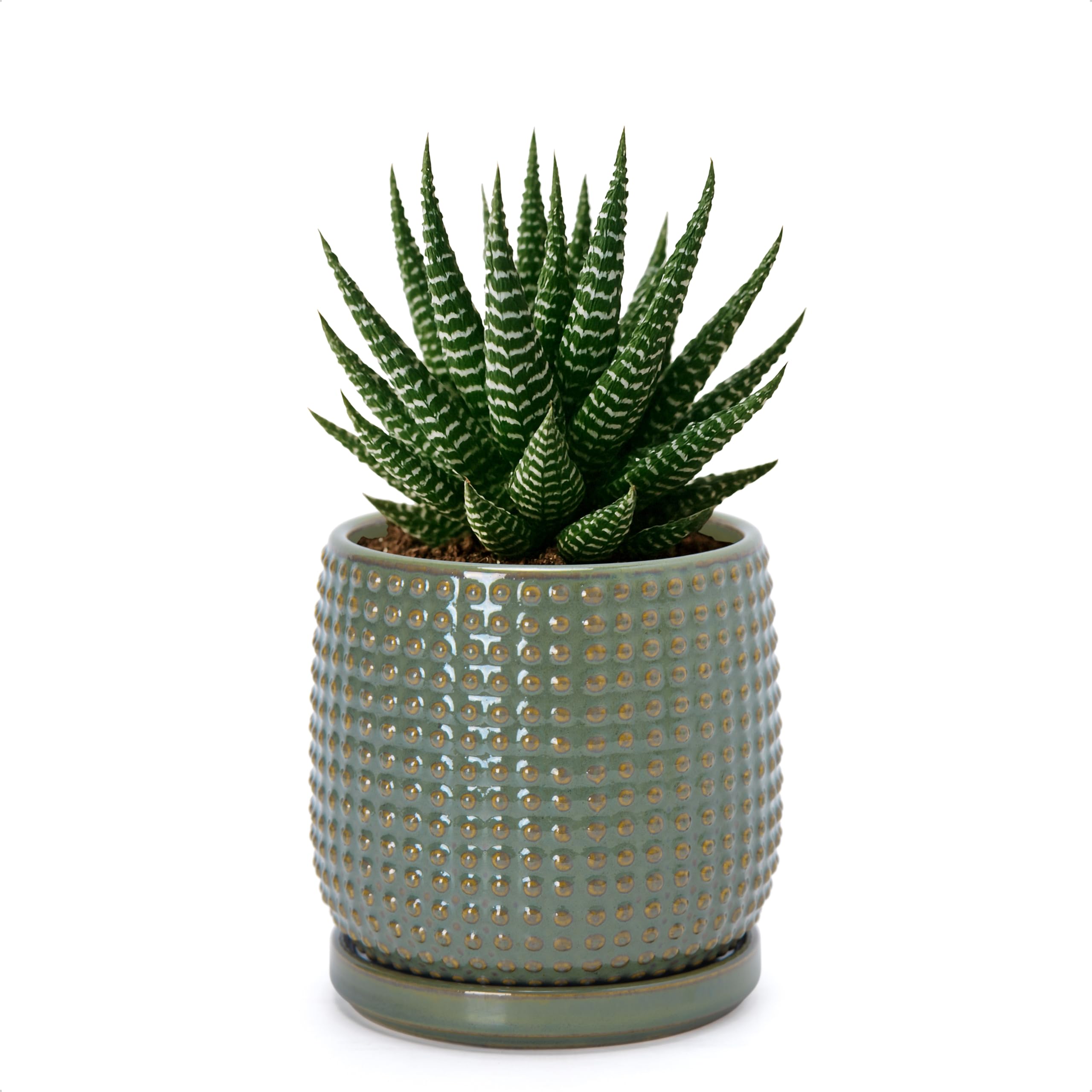 D'vine Dev 4 Inch Ceramic Beaded Stoneware Planter Pot - Flower Pot with Drainage Holes and Saucers for Indoor Succulent Plants or Flowers, Smoked White, 27-C-Z-1