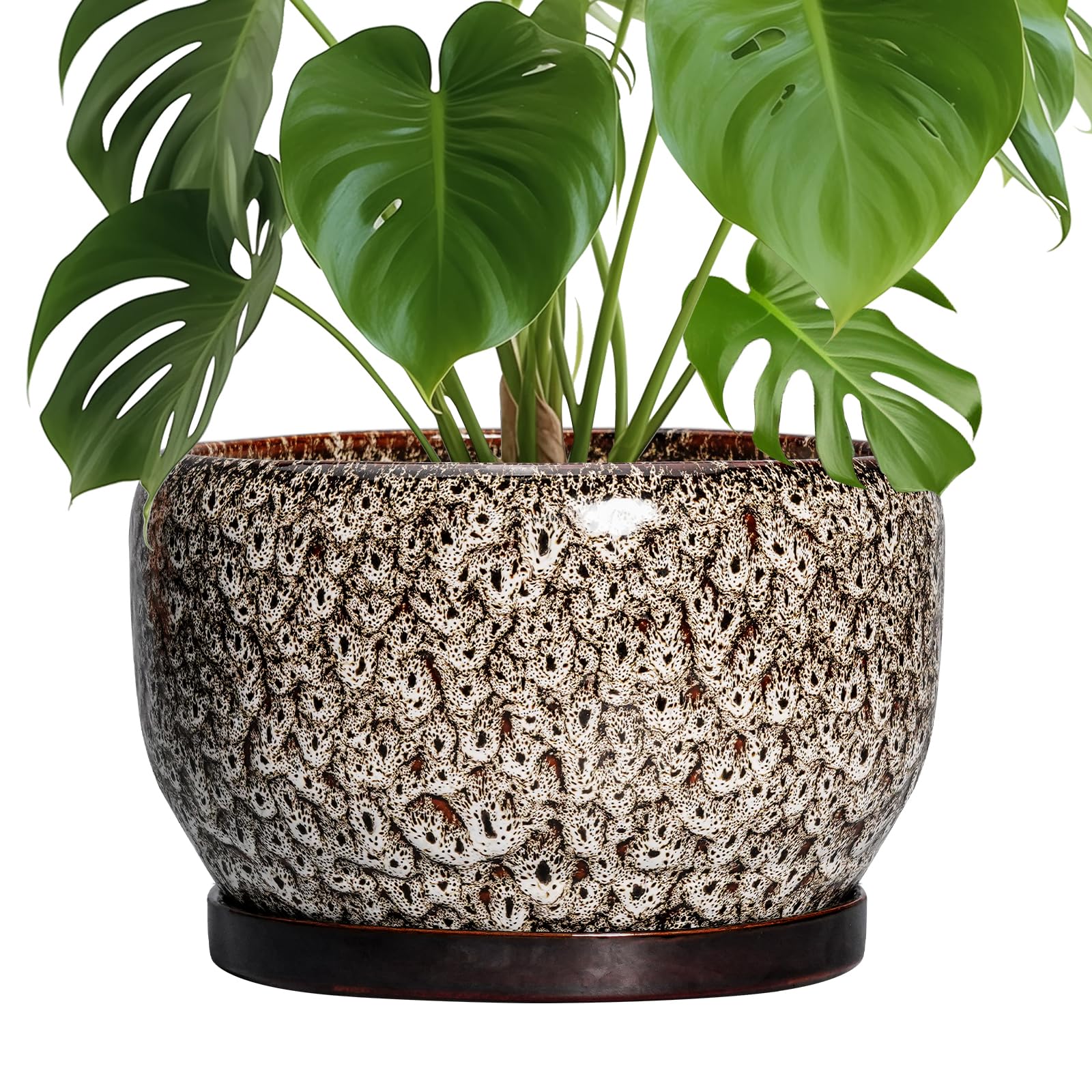 SQOWL Ceramic Planter 8 Inch - Pot for Indoor Outdoor Plants Round Ceramic Plant Pot with Drainage Hole and Saucer Modern Flower Pot Glazed Blue