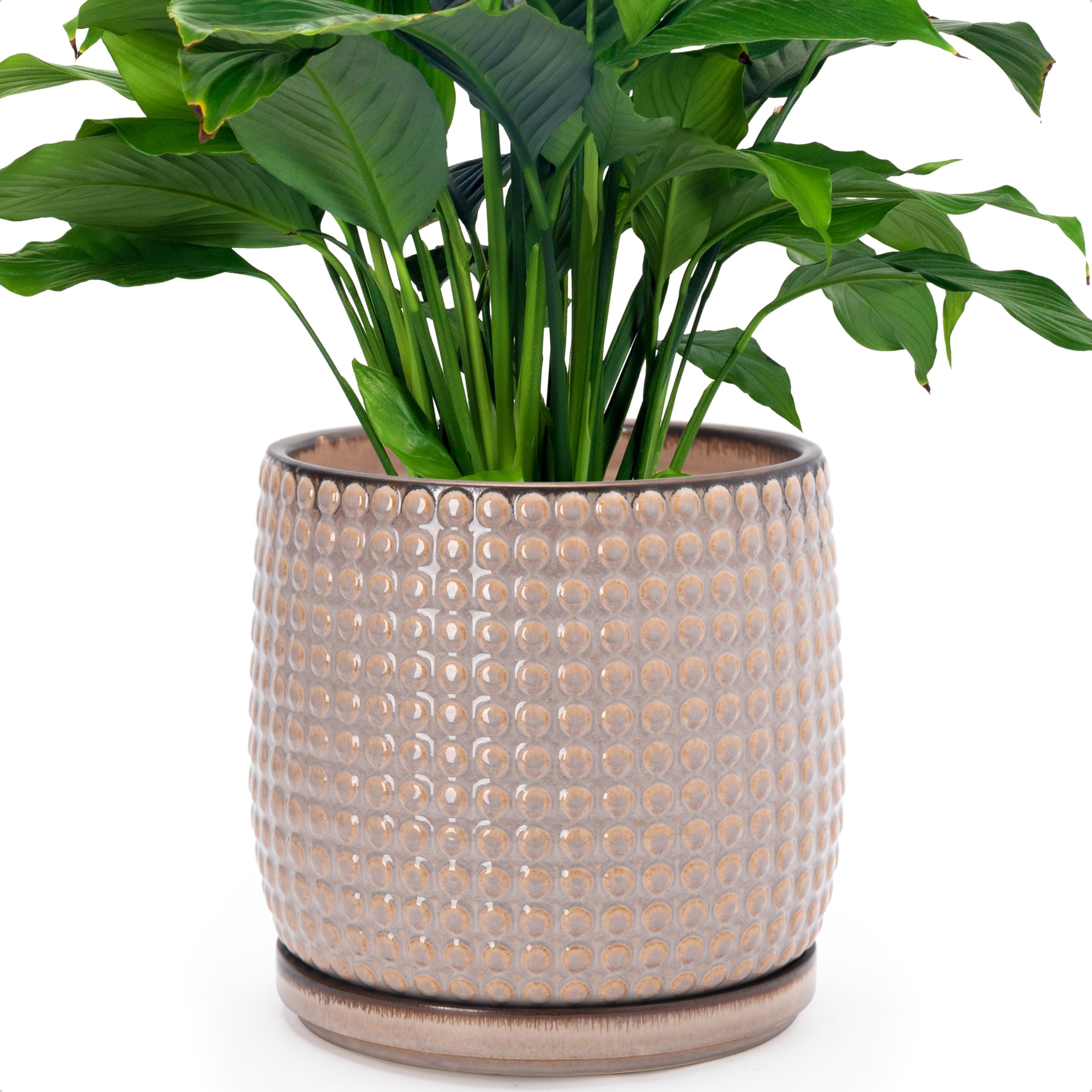 D'vine Dev 4 Inch Ceramic Beaded Stoneware Planter Pot - Flower Pot with Drainage Holes and Saucers for Indoor Succulent Plants or Flowers, Smoked White, 27-C-Z-1