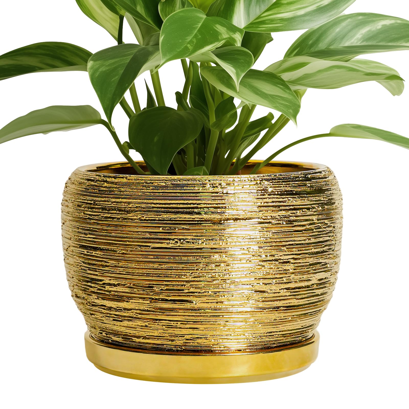 SQOWL Ceramic Planter 8 Inch - Pot for Indoor Outdoor Plants Round Ceramic Plant Pot with Drainage Hole and Saucer Modern Flower Pot Glazed Blue