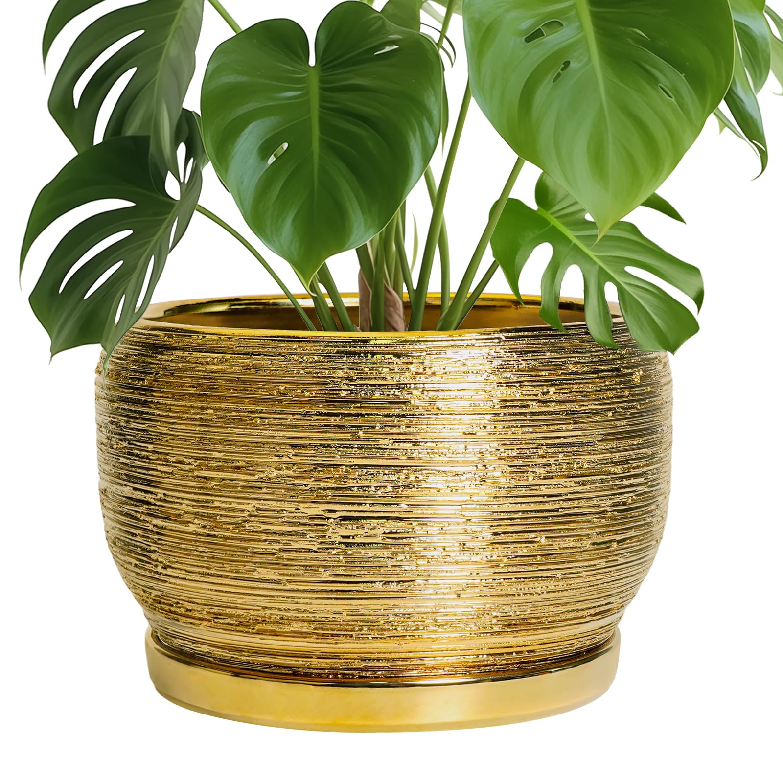 SQOWL Ceramic Planter 8 Inch - Pot for Indoor Outdoor Plants Round Ceramic Plant Pot with Drainage Hole and Saucer Modern Flower Pot Glazed Blue