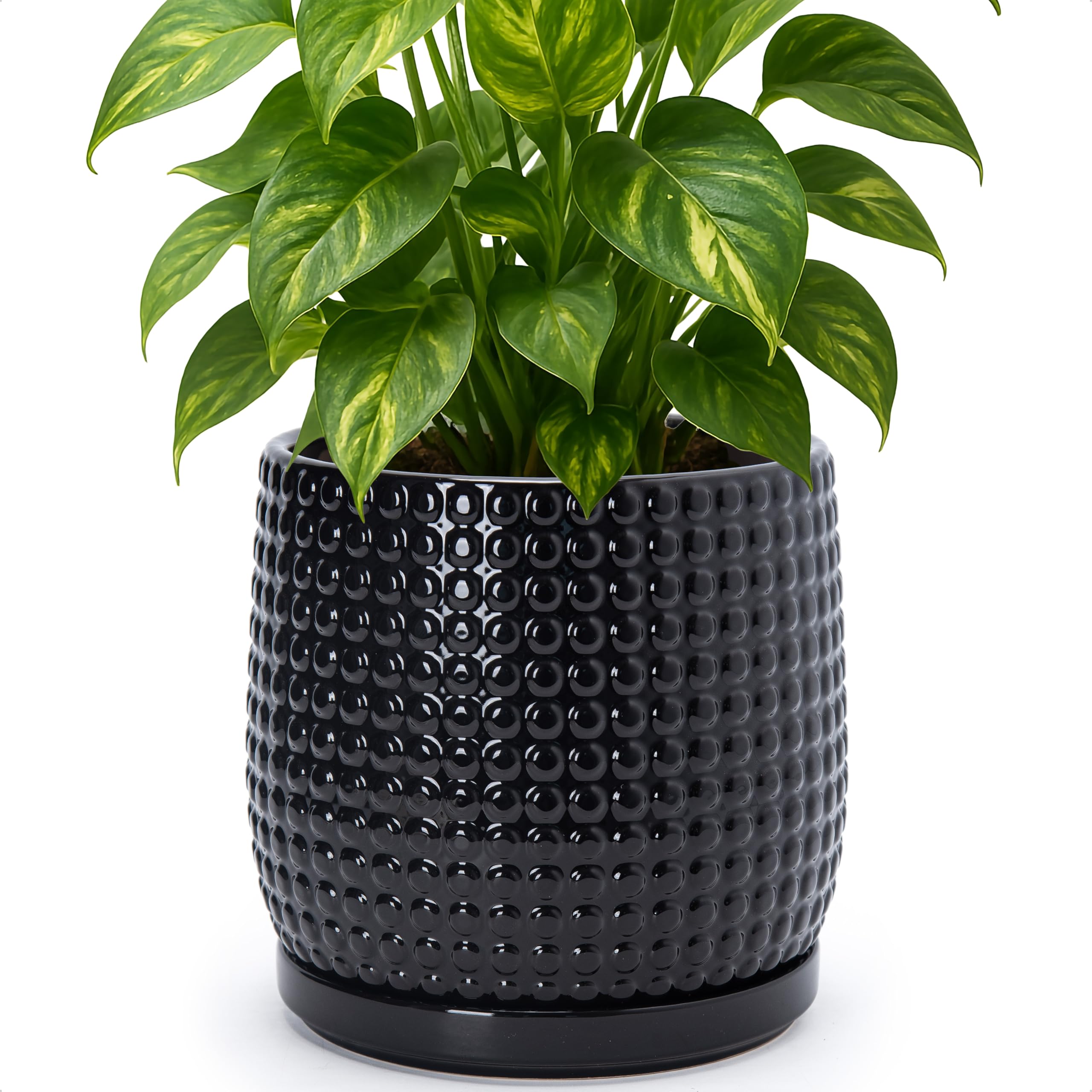 D'vine Dev 4 Inch Ceramic Beaded Stoneware Planter Pot - Flower Pot with Drainage Holes and Saucers for Indoor Succulent Plants or Flowers, Smoked White, 27-C-Z-1