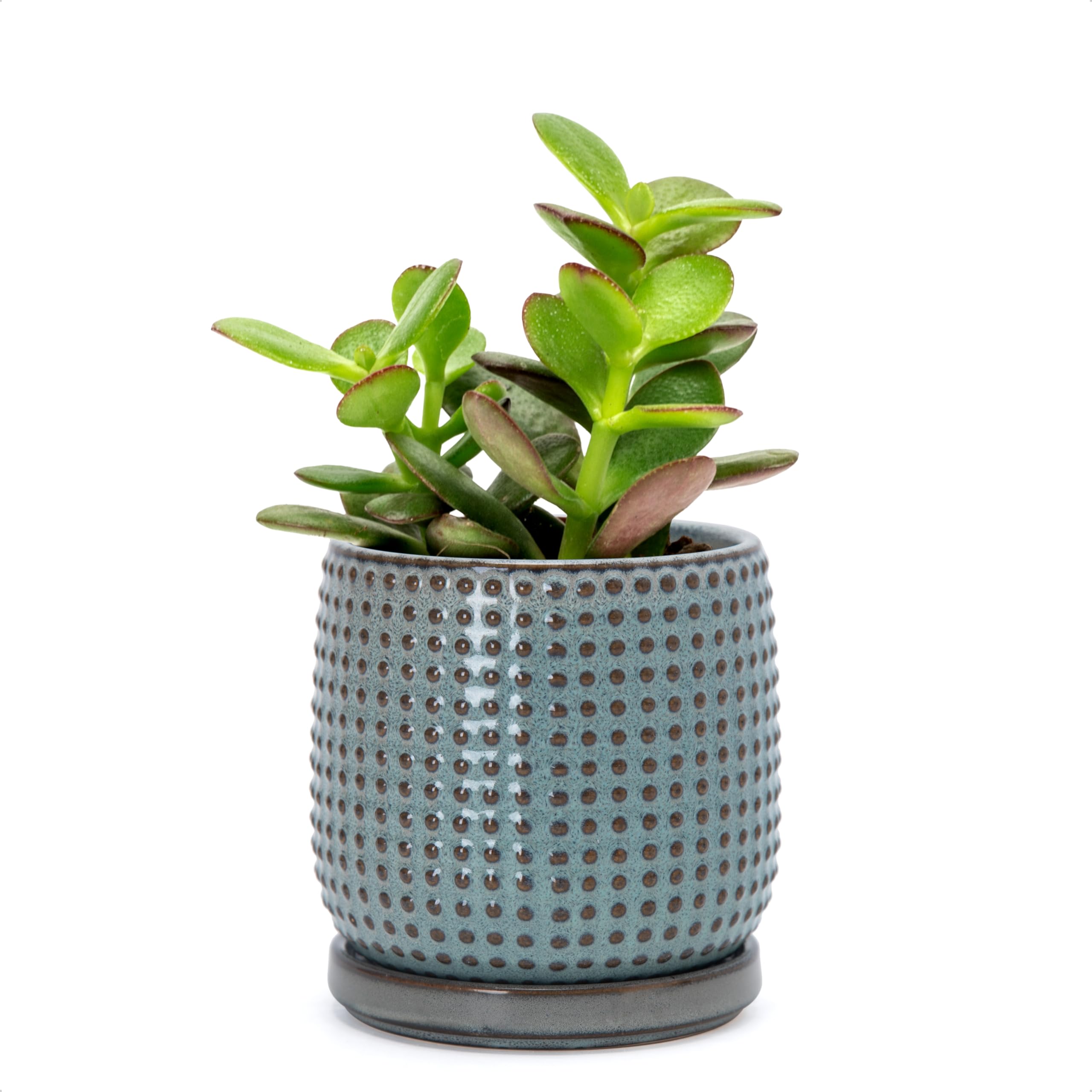 D'vine Dev 4 Inch Ceramic Beaded Stoneware Planter Pot - Flower Pot with Drainage Holes and Saucers for Indoor Succulent Plants or Flowers, Smoked White, 27-C-Z-1