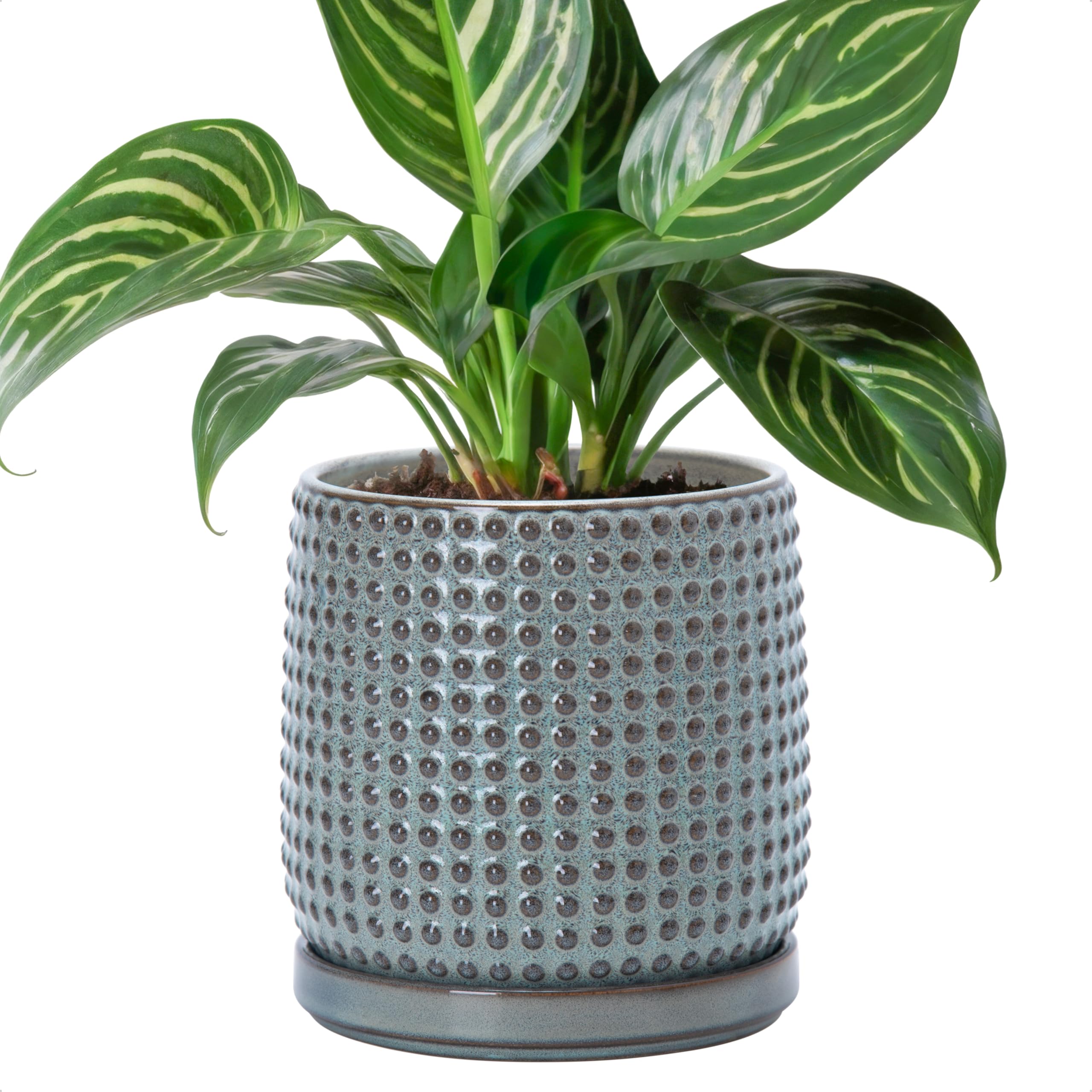 D'vine Dev 4 Inch Ceramic Beaded Stoneware Planter Pot - Flower Pot with Drainage Holes and Saucers for Indoor Succulent Plants or Flowers, Smoked White, 27-C-Z-1