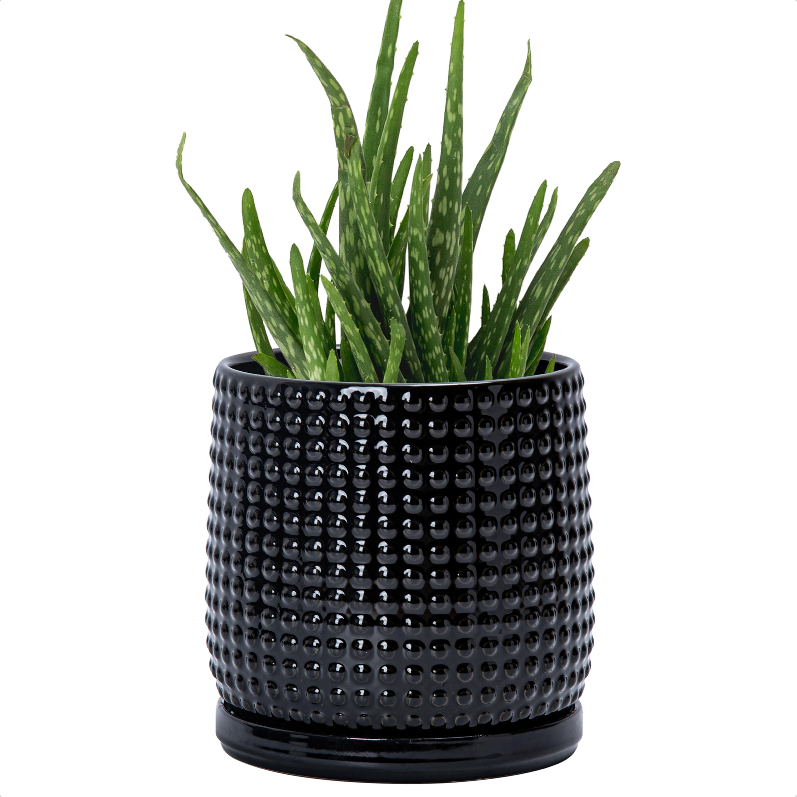 D'vine Dev 4 Inch Ceramic Beaded Stoneware Planter Pot - Flower Pot with Drainage Holes and Saucers for Indoor Succulent Plants or Flowers, Smoked White, 27-C-Z-1
