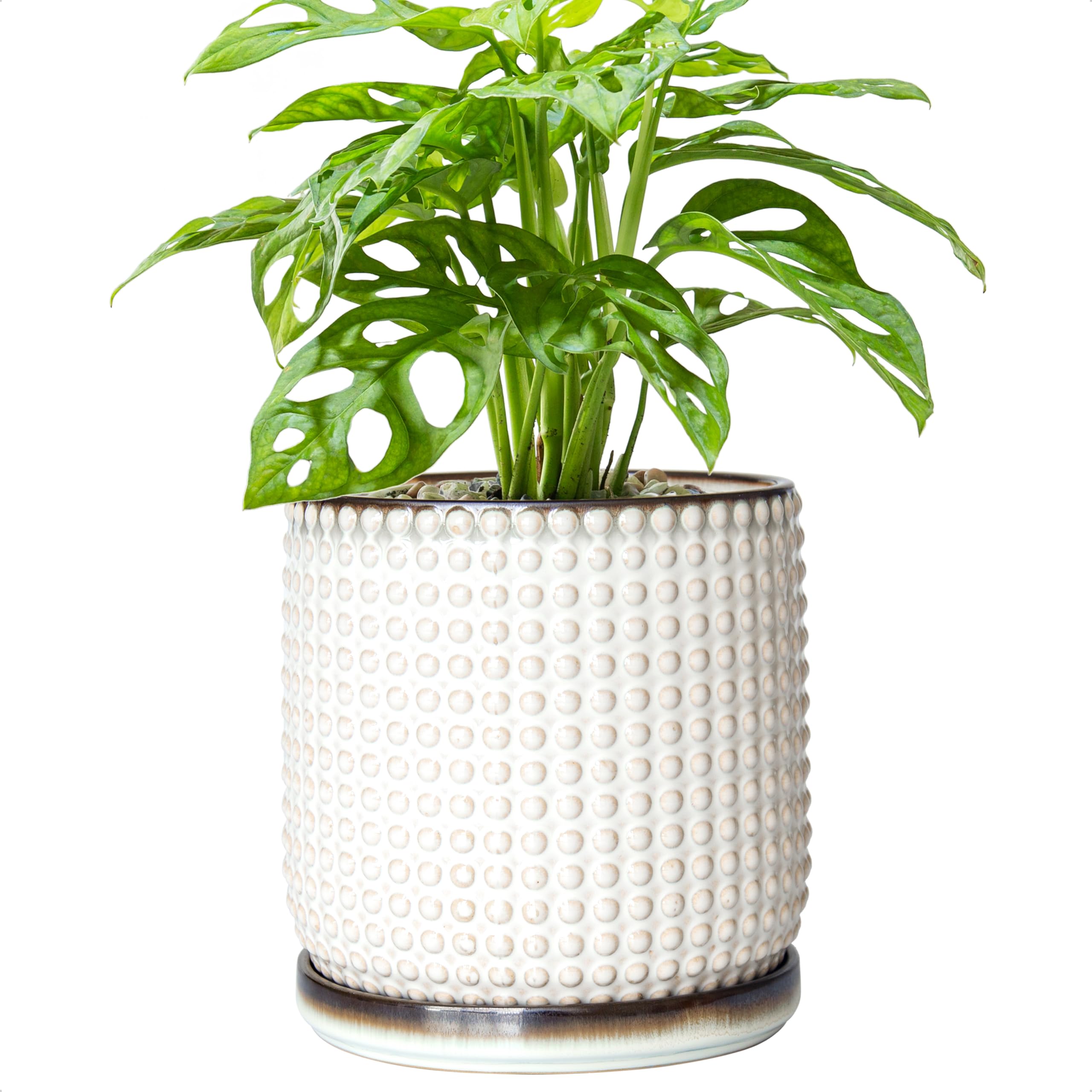 D'vine Dev 4 Inch Ceramic Beaded Stoneware Planter Pot - Flower Pot with Drainage Holes and Saucers for Indoor Succulent Plants or Flowers, Smoked White, 27-C-Z-1