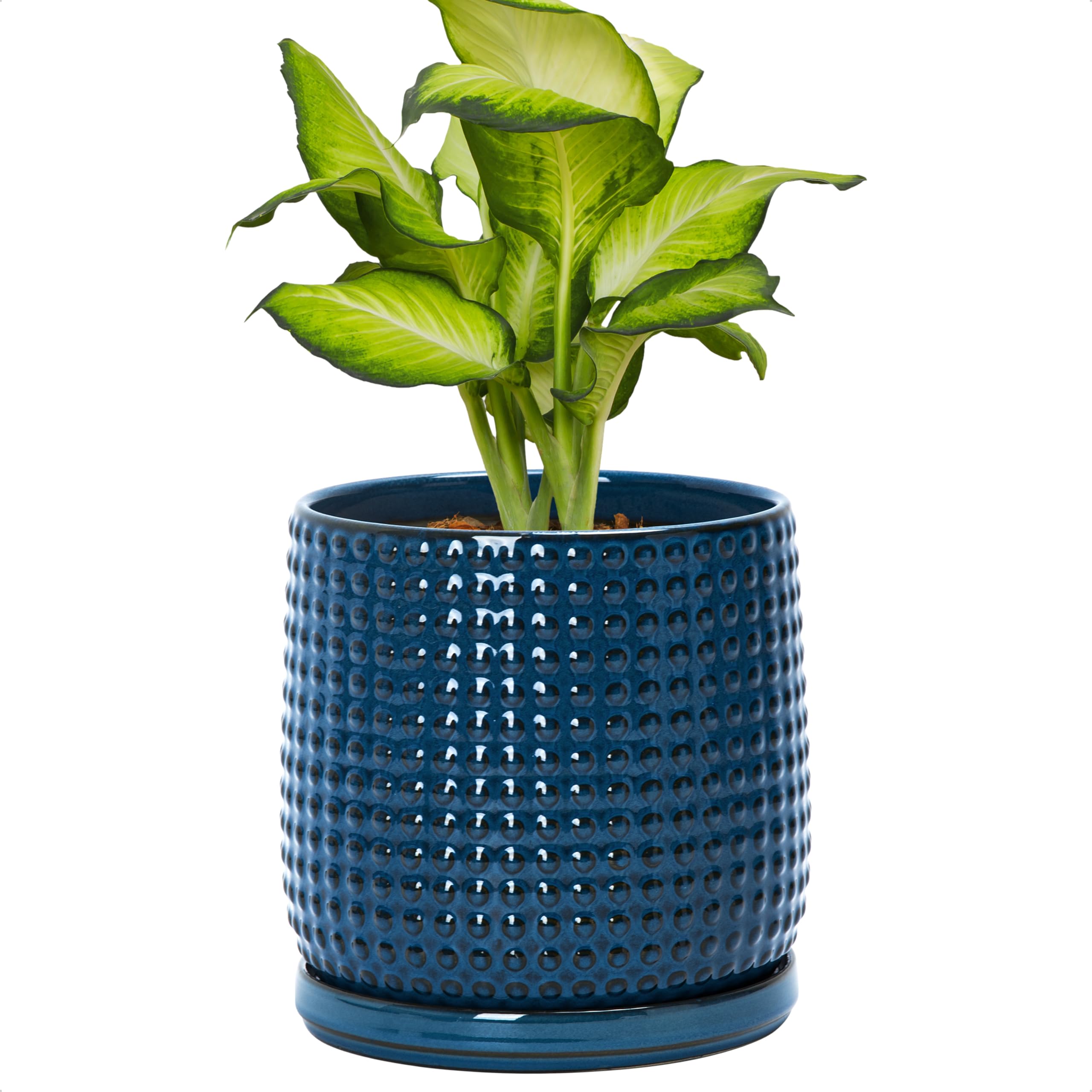 D'vine Dev 4 Inch Ceramic Beaded Stoneware Planter Pot - Flower Pot with Drainage Holes and Saucers for Indoor Succulent Plants or Flowers, Smoked White, 27-C-Z-1