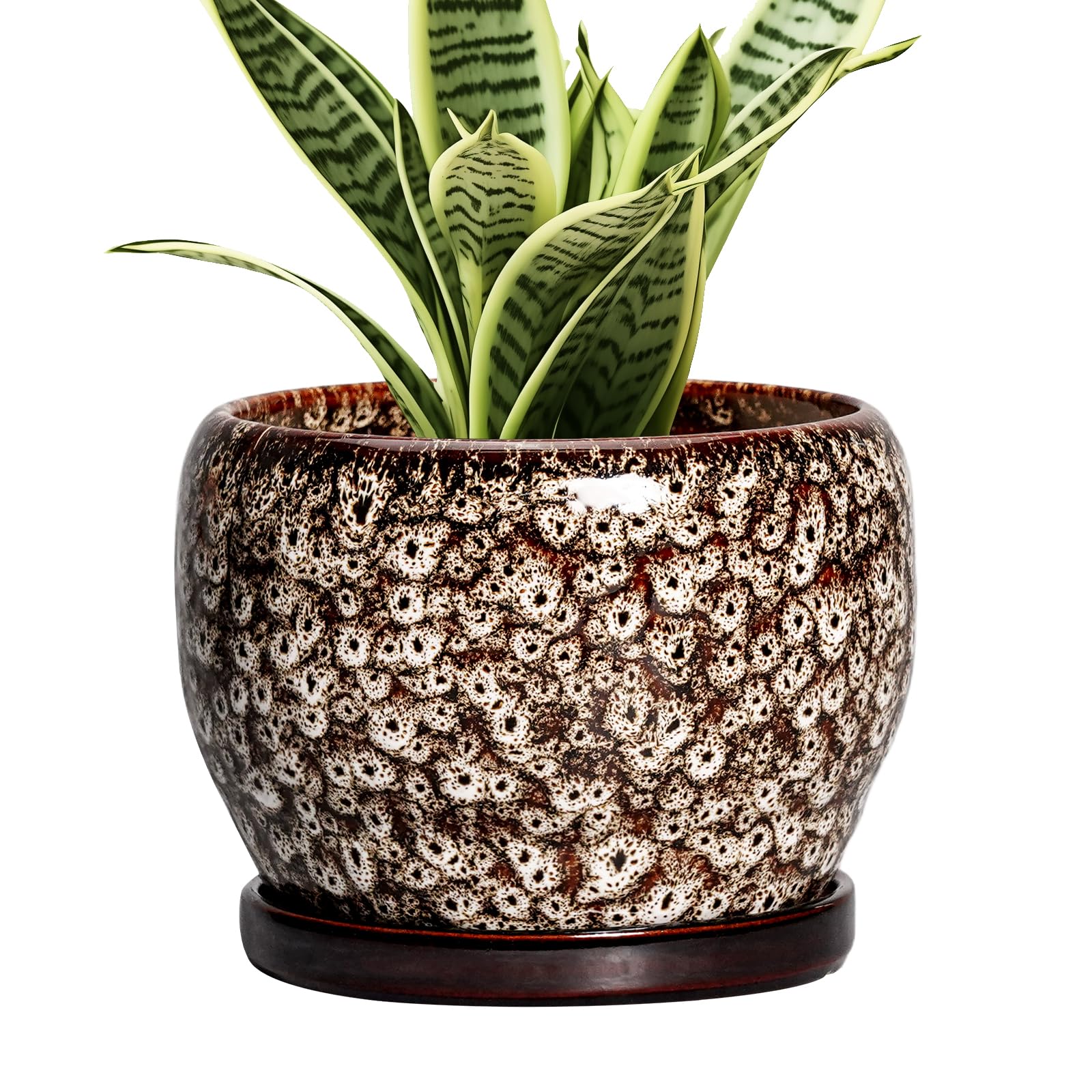 SQOWL Ceramic Planter 8 Inch - Pot for Indoor Outdoor Plants Round Ceramic Plant Pot with Drainage Hole and Saucer Modern Flower Pot Glazed Blue