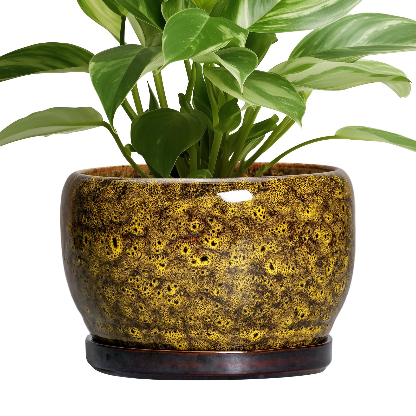 SQOWL Ceramic Planter 8 Inch - Pot for Indoor Outdoor Plants Round Ceramic Plant Pot with Drainage Hole and Saucer Modern Flower Pot Glazed Blue