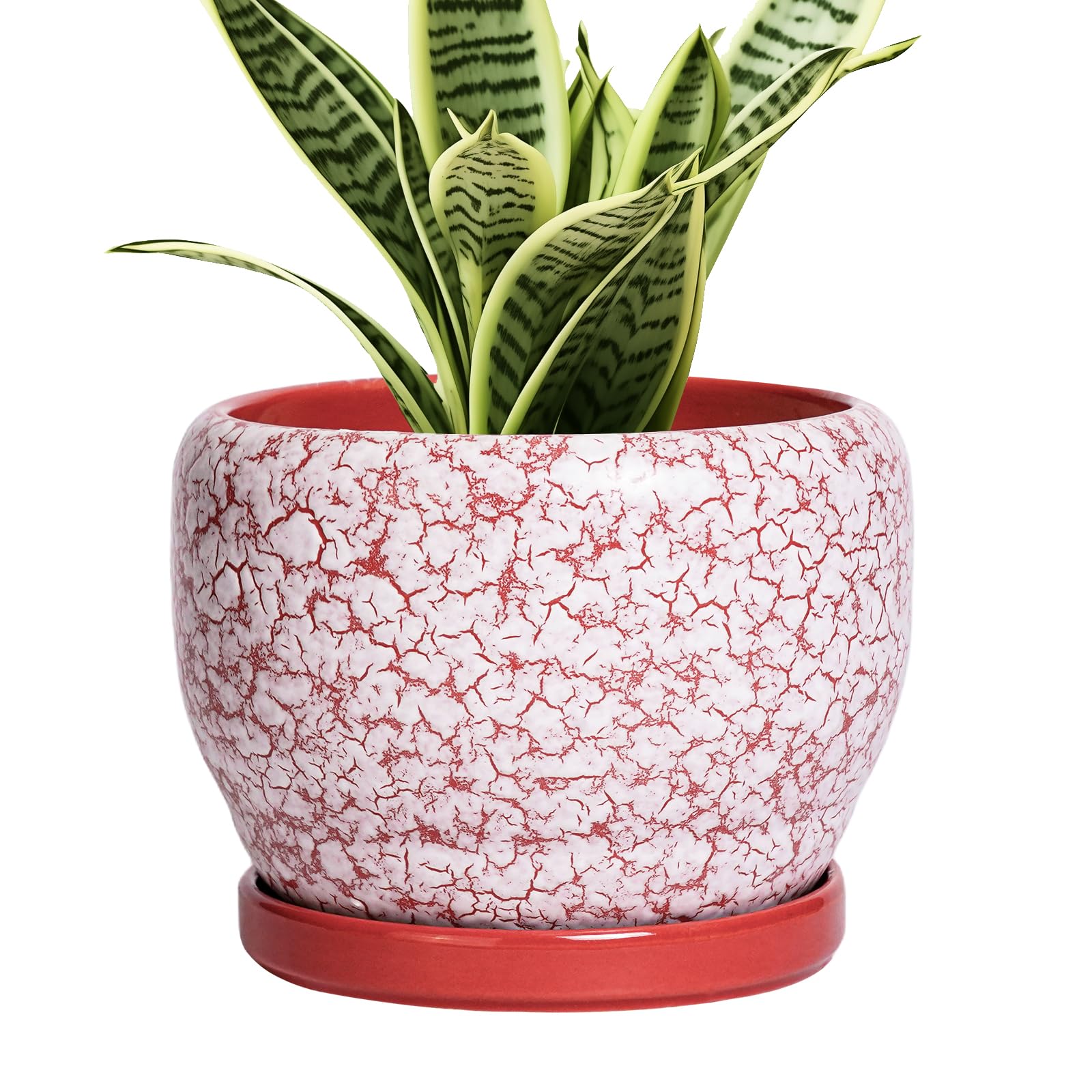 SQOWL Ceramic Planter 8 Inch - Pot for Indoor Outdoor Plants Round Ceramic Plant Pot with Drainage Hole and Saucer Modern Flower Pot Glazed Blue