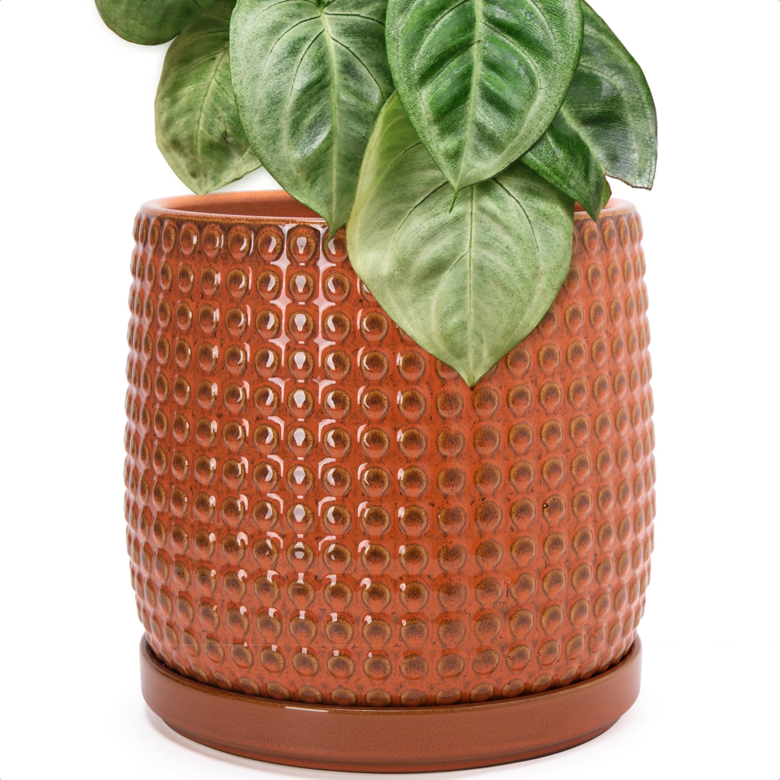 D'vine Dev 4 Inch Ceramic Beaded Stoneware Planter Pot - Flower Pot with Drainage Holes and Saucers for Indoor Succulent Plants or Flowers, Smoked White, 27-C-Z-1