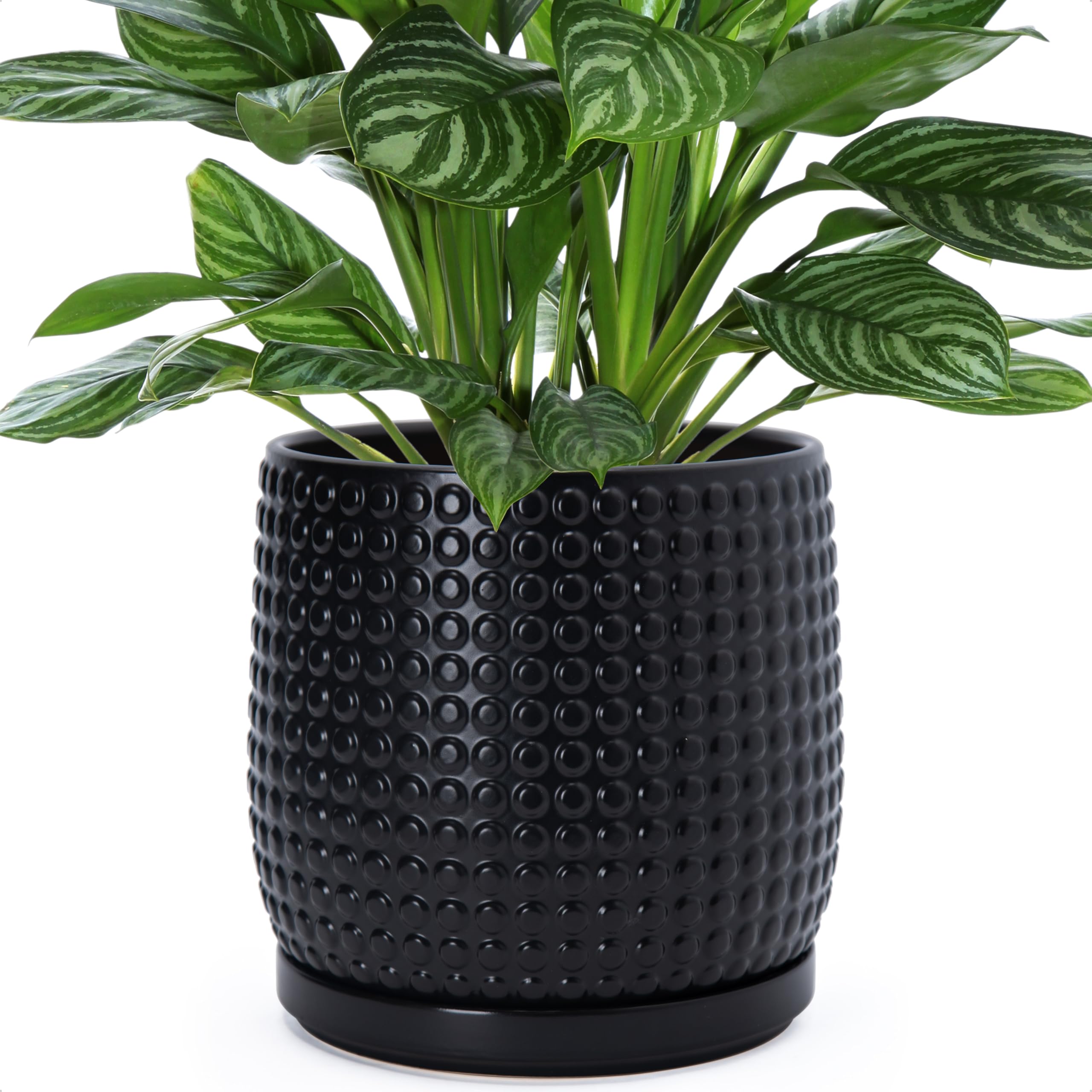 D'vine Dev 4 Inch Ceramic Beaded Stoneware Planter Pot - Flower Pot with Drainage Holes and Saucers for Indoor Succulent Plants or Flowers, Smoked White, 27-C-Z-1