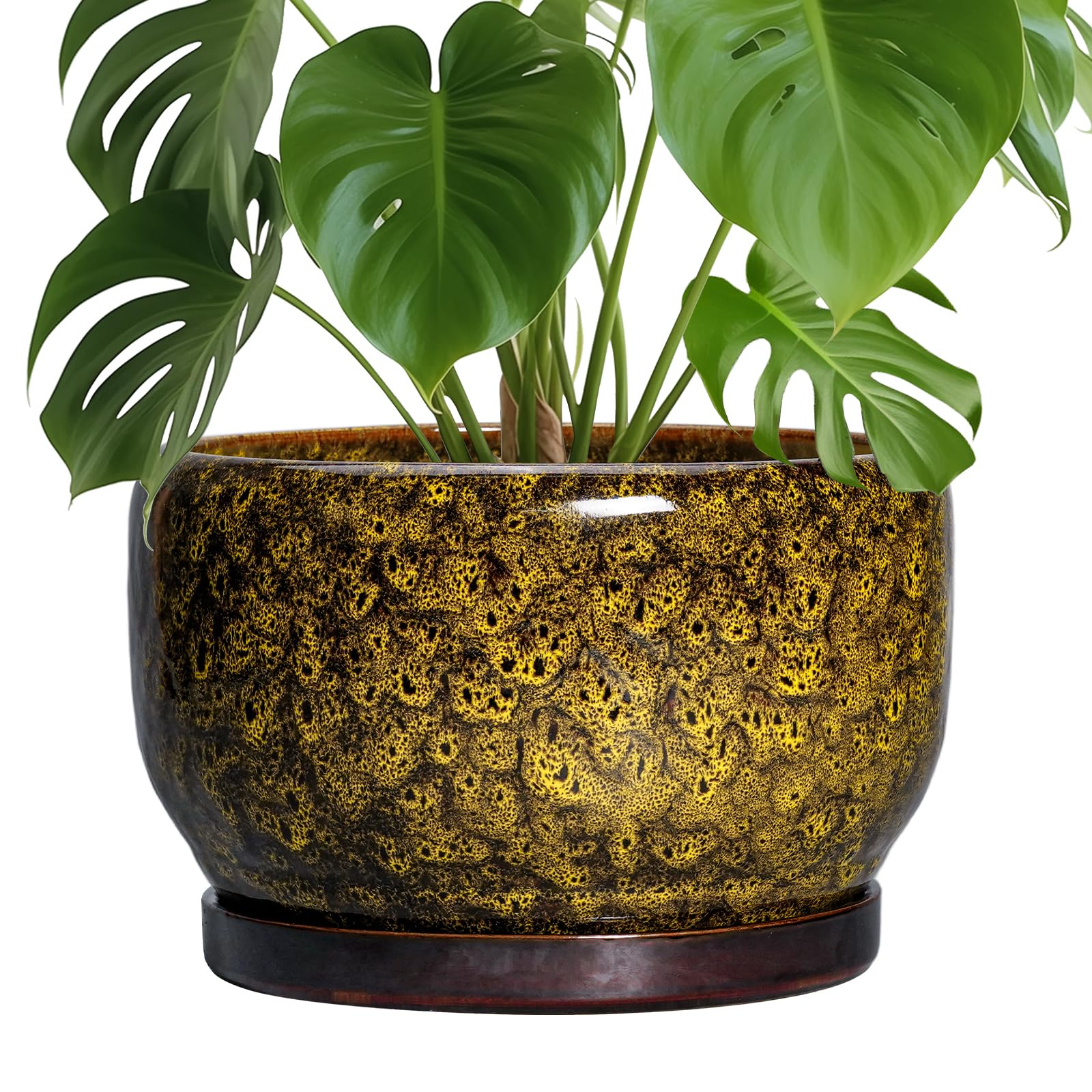 SQOWL Ceramic Planter 8 Inch - Pot for Indoor Outdoor Plants Round Ceramic Plant Pot with Drainage Hole and Saucer Modern Flower Pot Glazed Blue