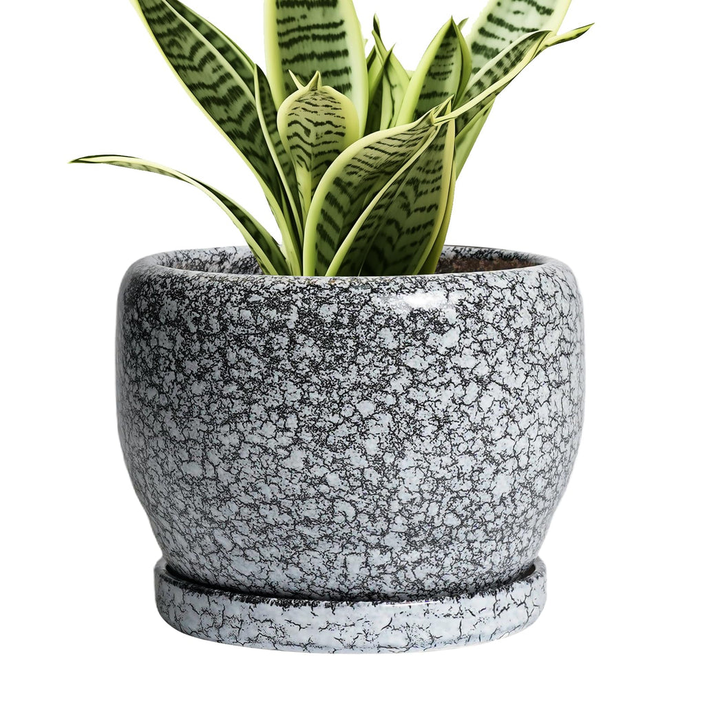 SQOWL Ceramic Planter 8 Inch - Pot for Indoor Outdoor Plants Round Ceramic Plant Pot with Drainage Hole and Saucer Modern Flower Pot Glazed Blue