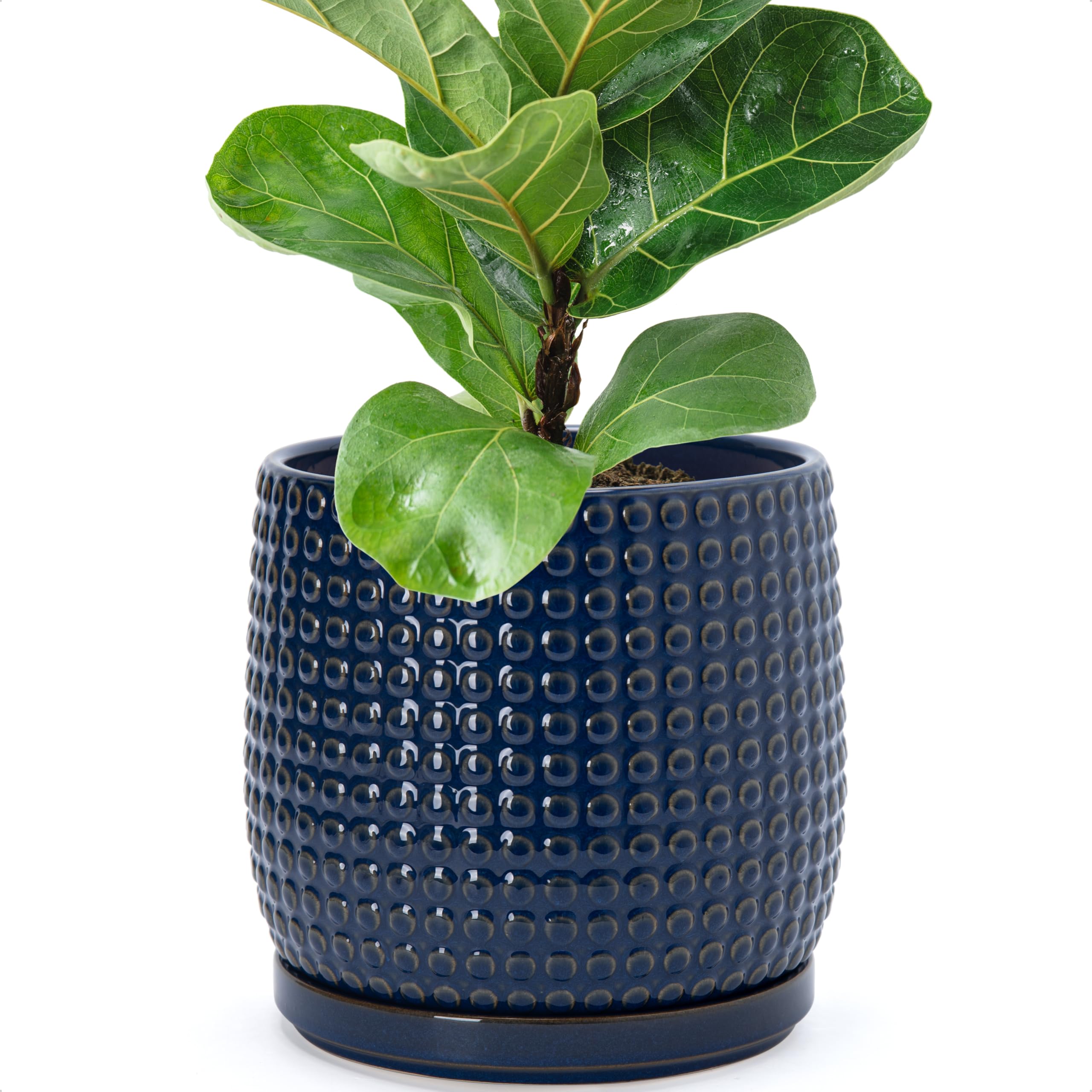 D'vine Dev 4 Inch Ceramic Beaded Stoneware Planter Pot - Flower Pot with Drainage Holes and Saucers for Indoor Succulent Plants or Flowers, Smoked White, 27-C-Z-1