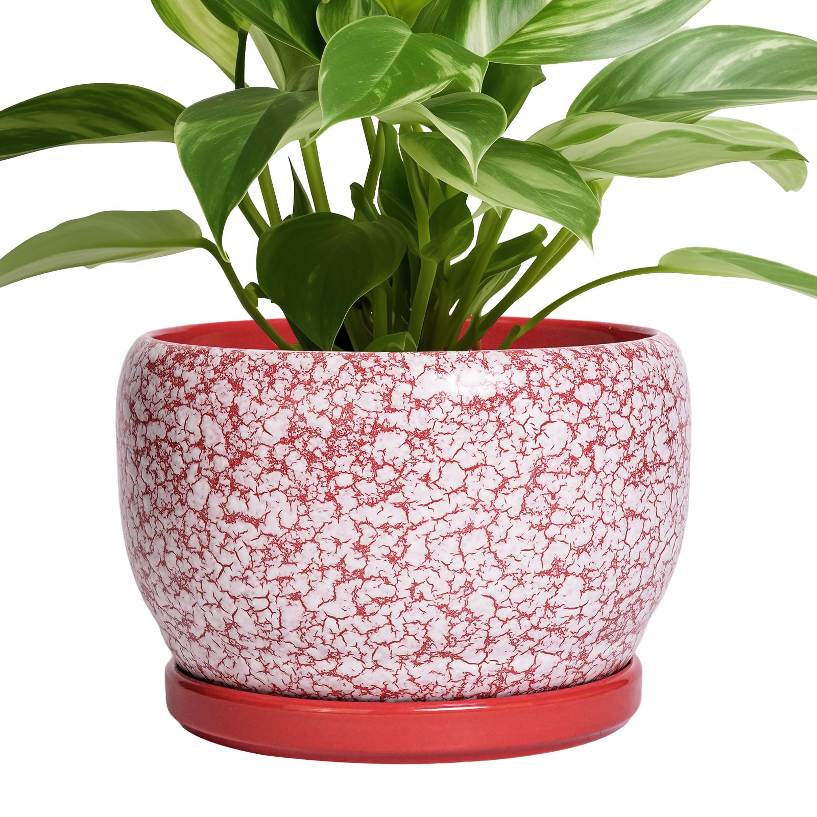 SQOWL Ceramic Planter 8 Inch - Pot for Indoor Outdoor Plants Round Ceramic Plant Pot with Drainage Hole and Saucer Modern Flower Pot Glazed Blue