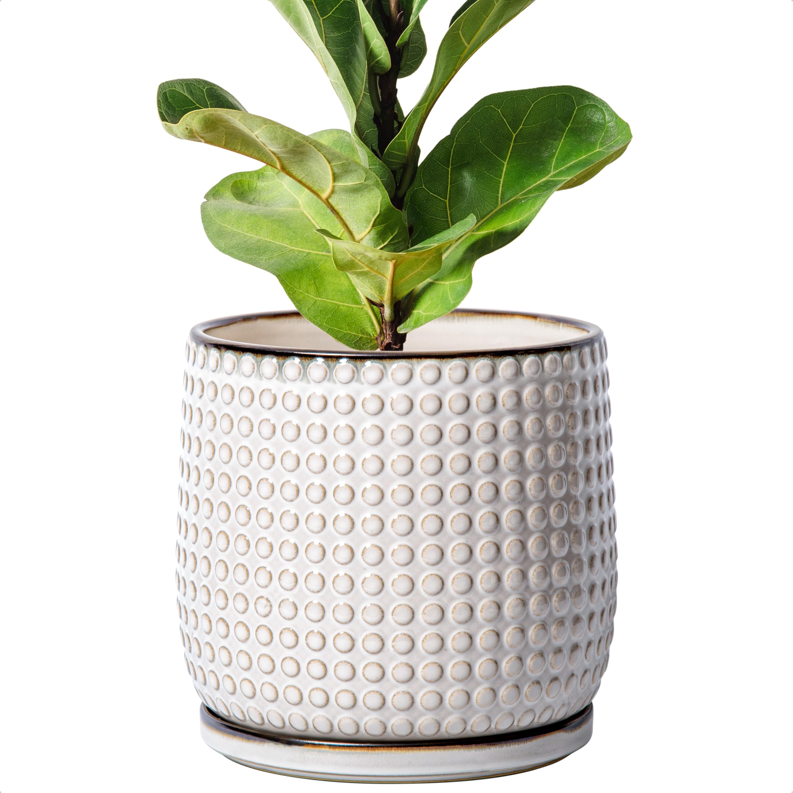 D'vine Dev 4 Inch Ceramic Beaded Stoneware Planter Pot - Flower Pot with Drainage Holes and Saucers for Indoor Succulent Plants or Flowers, Smoked White, 27-C-Z-1